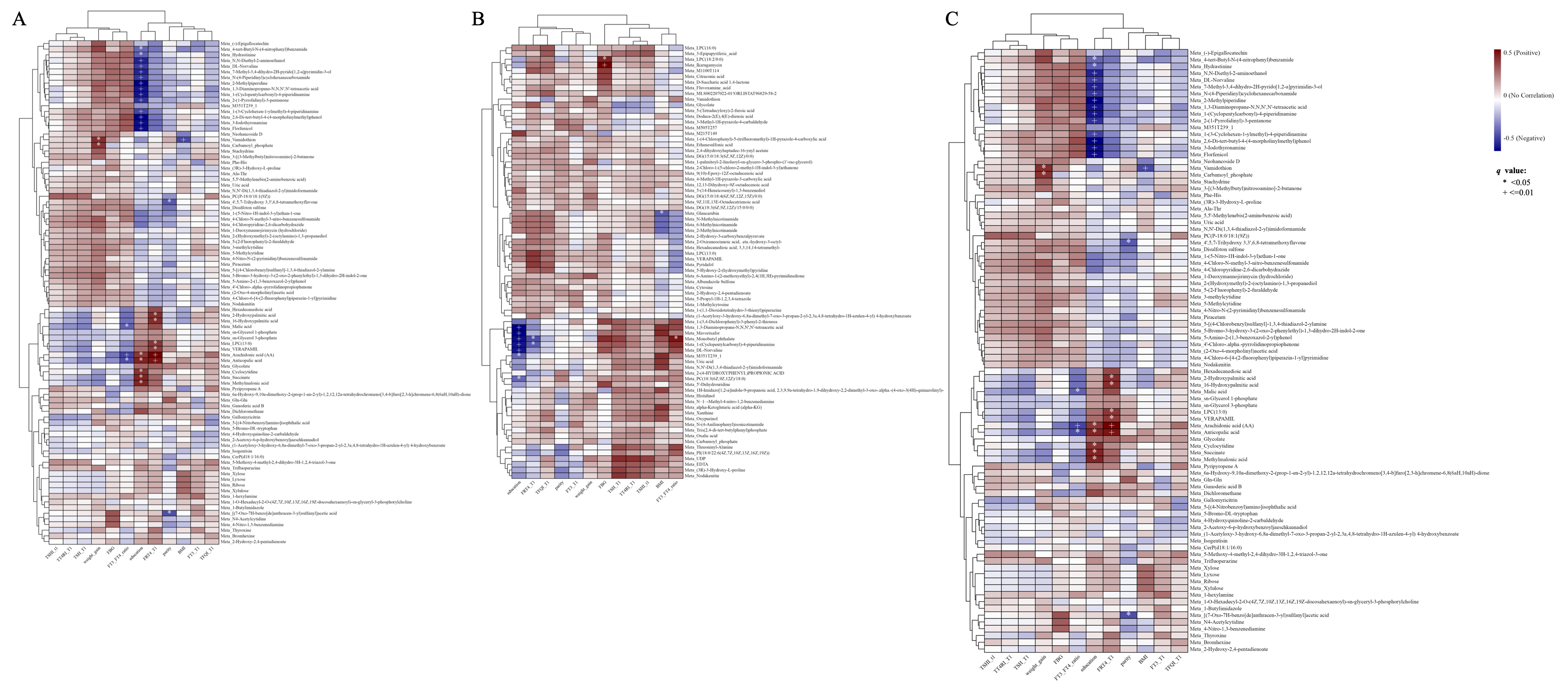 Metabolomic Profiling of Gestational Diabetes Mellitus and Its Subtypes ...
