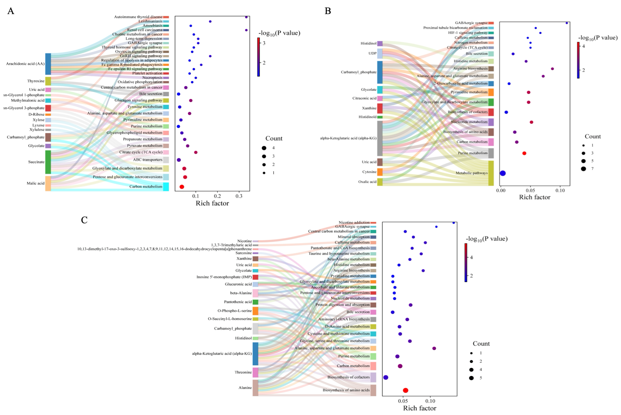 Metabolomic Profiling of Gestational Diabetes Mellitus and Its Subtypes ...