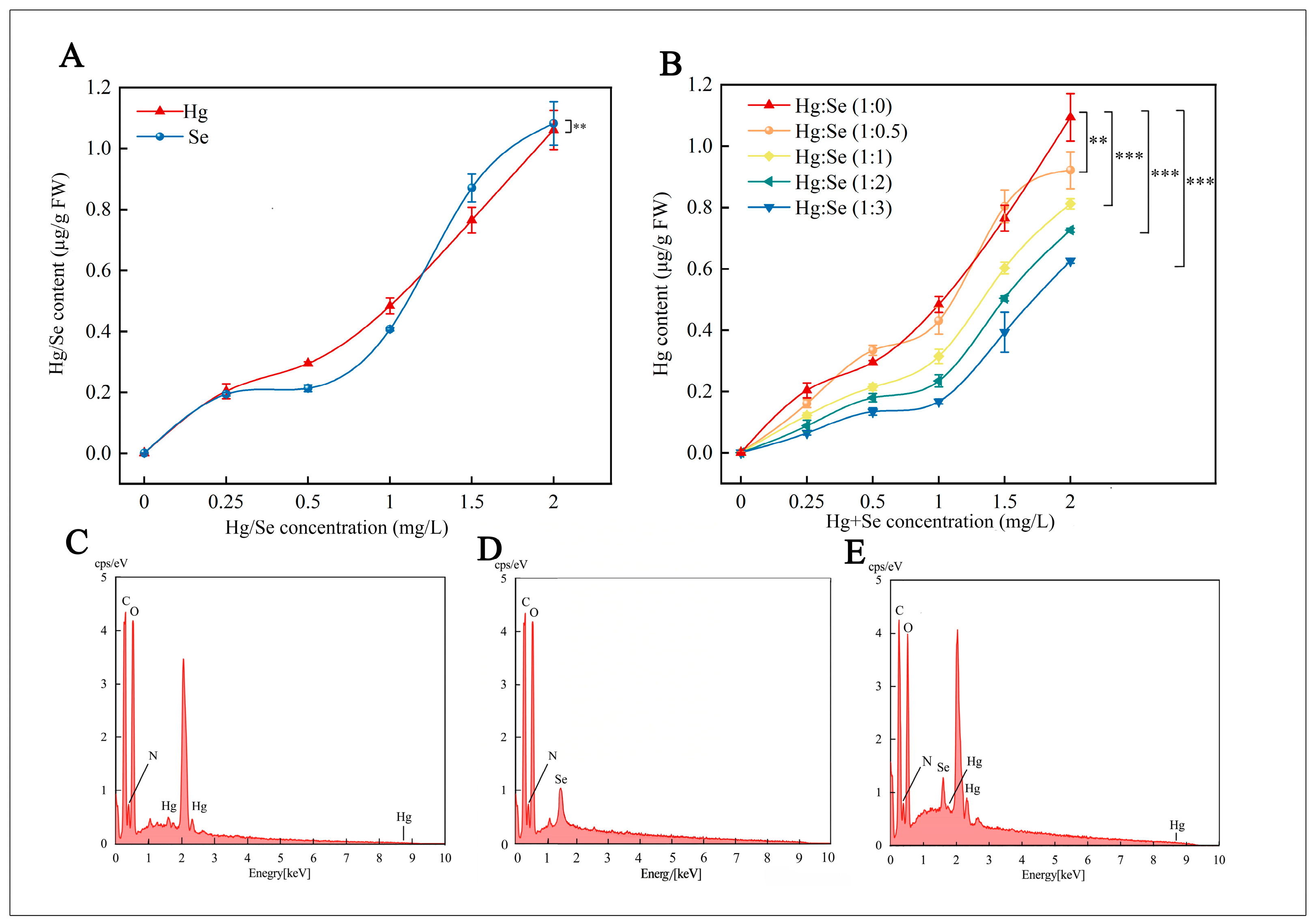 Selenium Alleviates Mercury Toxicity in Ophiocordyceps sinensis ...