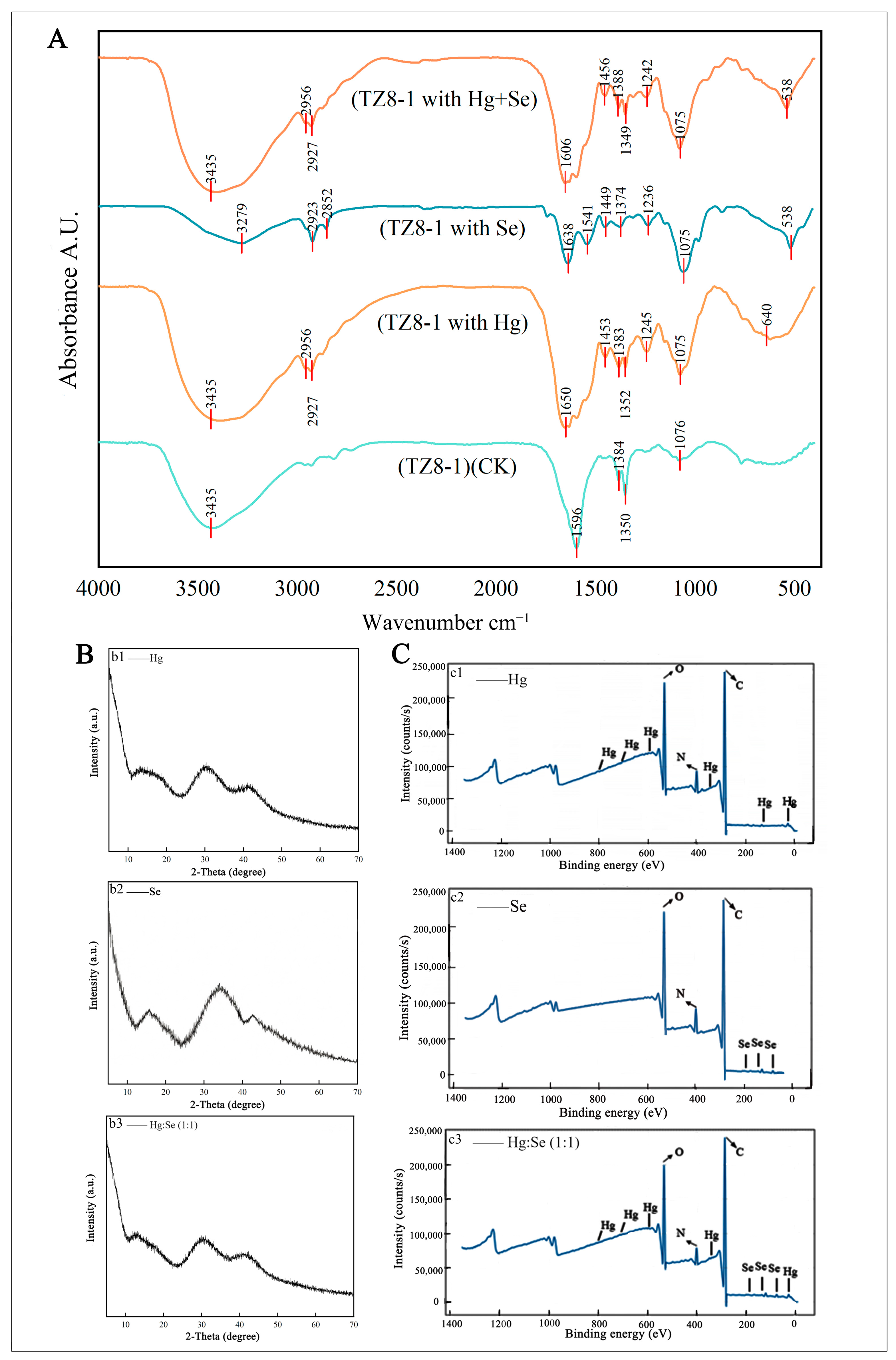 Selenium Alleviates Mercury Toxicity in Ophiocordyceps sinensis ...