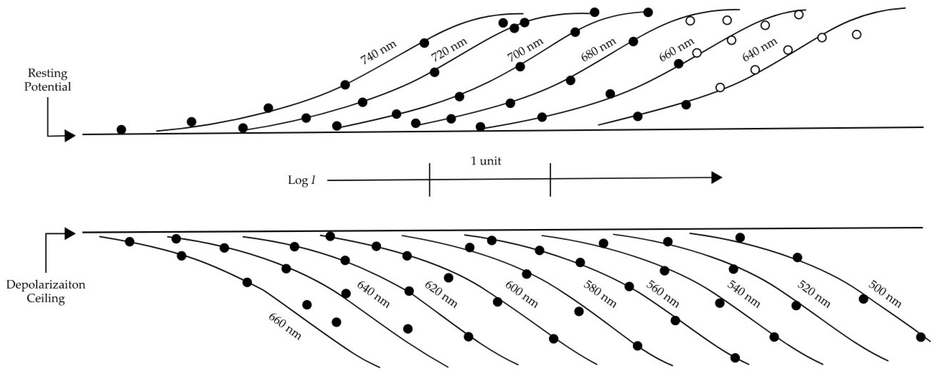 Relative Visual Performance Rvp Visual Performance Models in Lighting: A Historical Review and Future ...