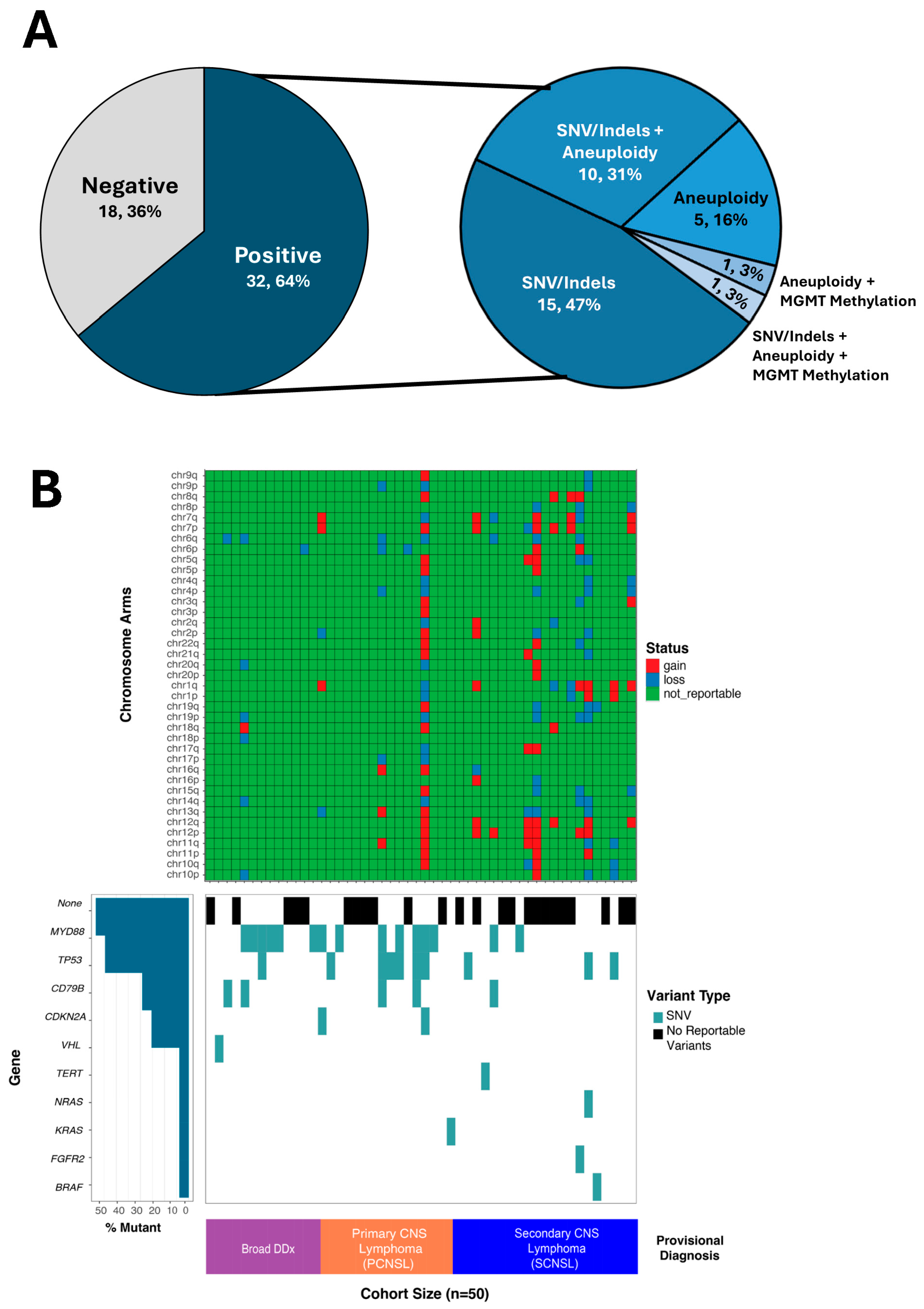 Demonstrating the Impact of the Belay Cerebrospinal Fluid Liquid Biopsy ...