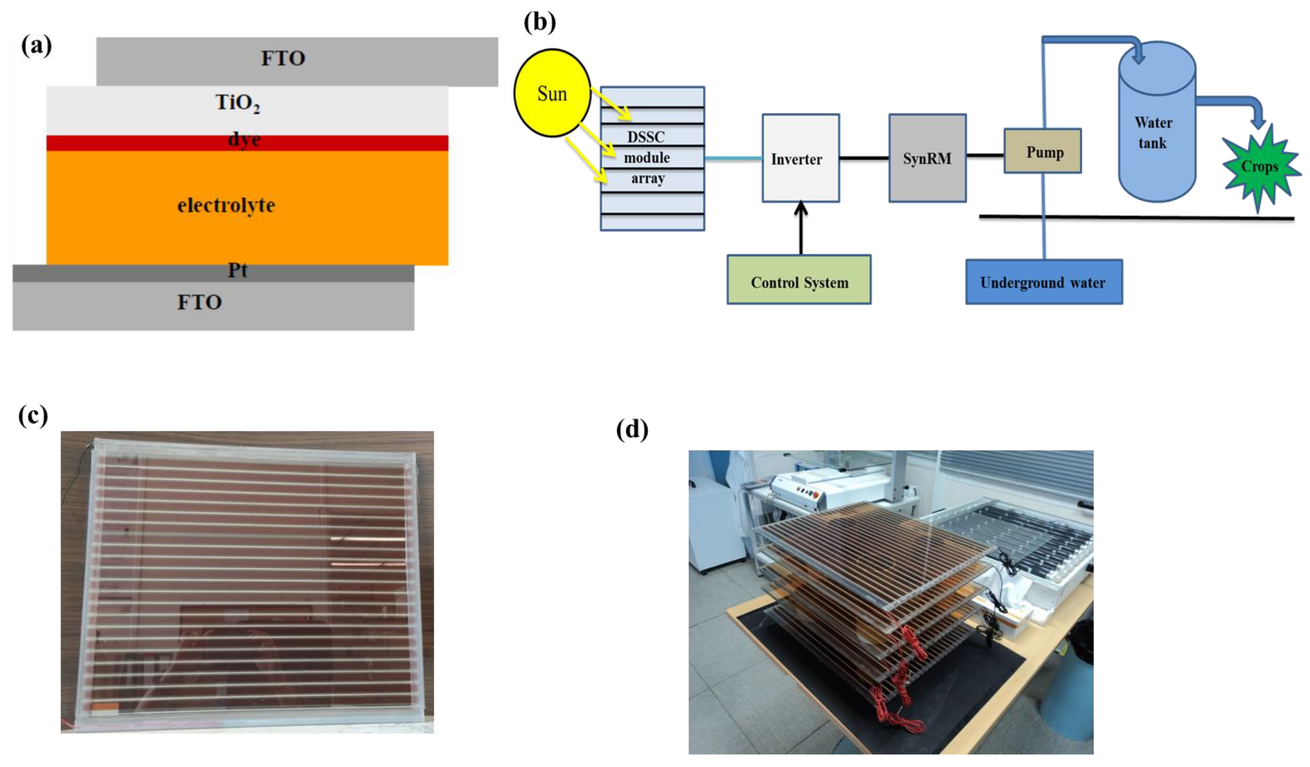 Employing Dye-Sensitized Solar Arrays and Synchronous Reluctance 