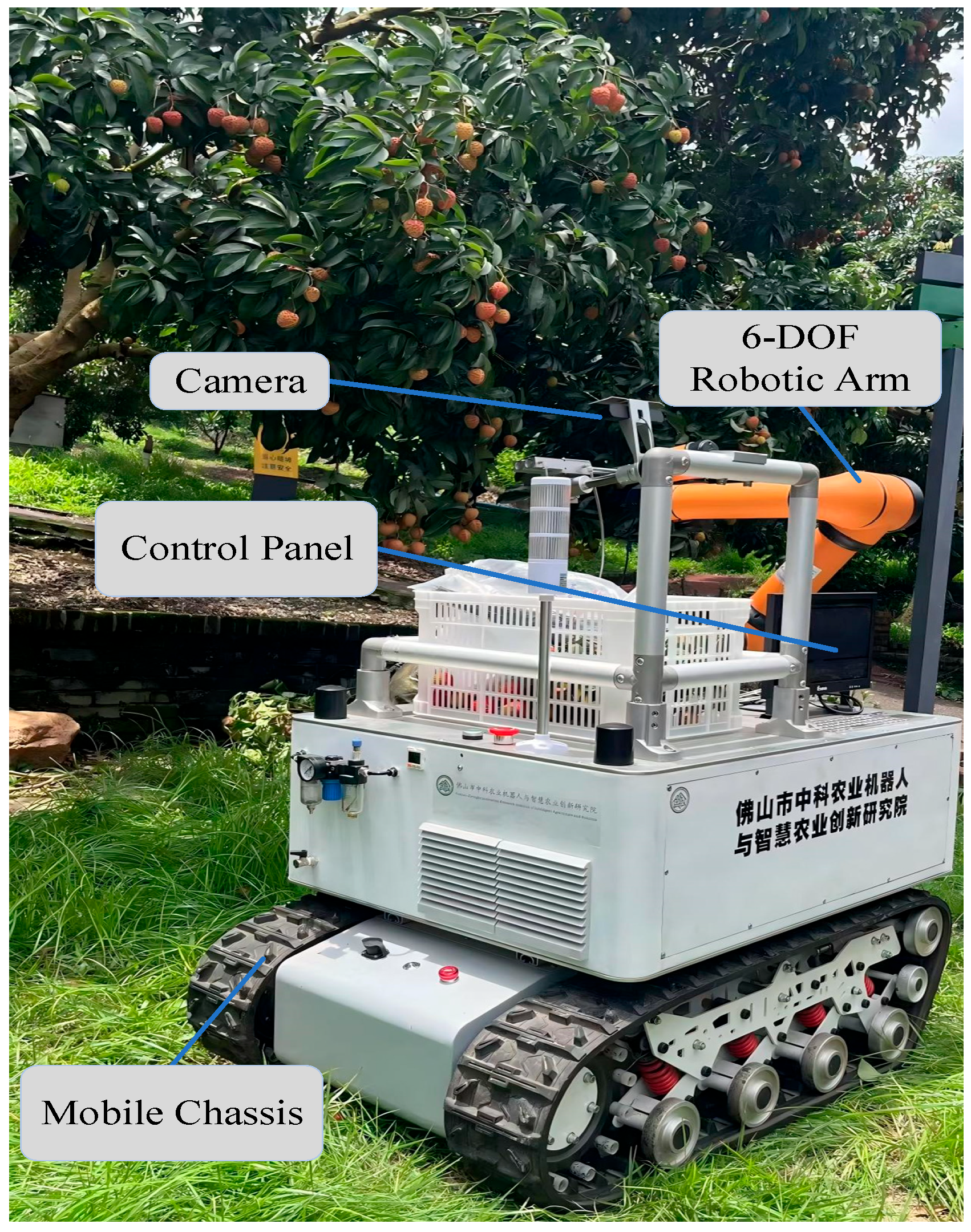 Vision-Based Perception and Execution Decision-Making for Fruit Picking ...