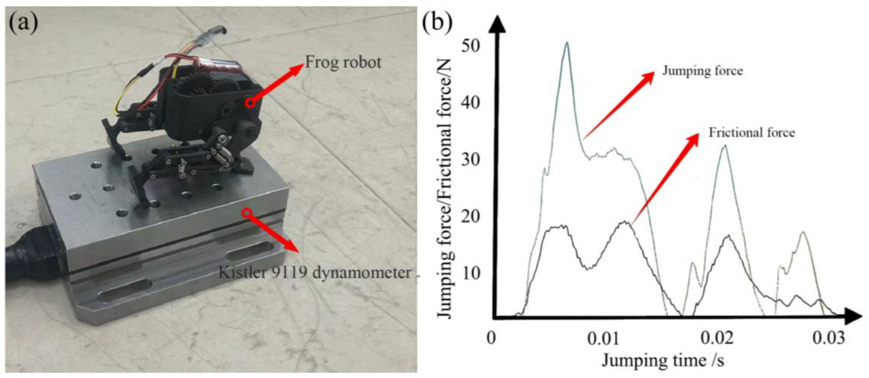 Frog Machine Science The Design of a Bionic Frog Robot