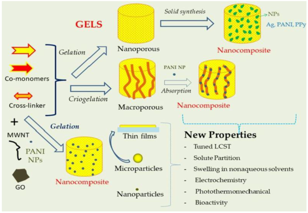 Understanding of the behaviour of gels - Research, University of York