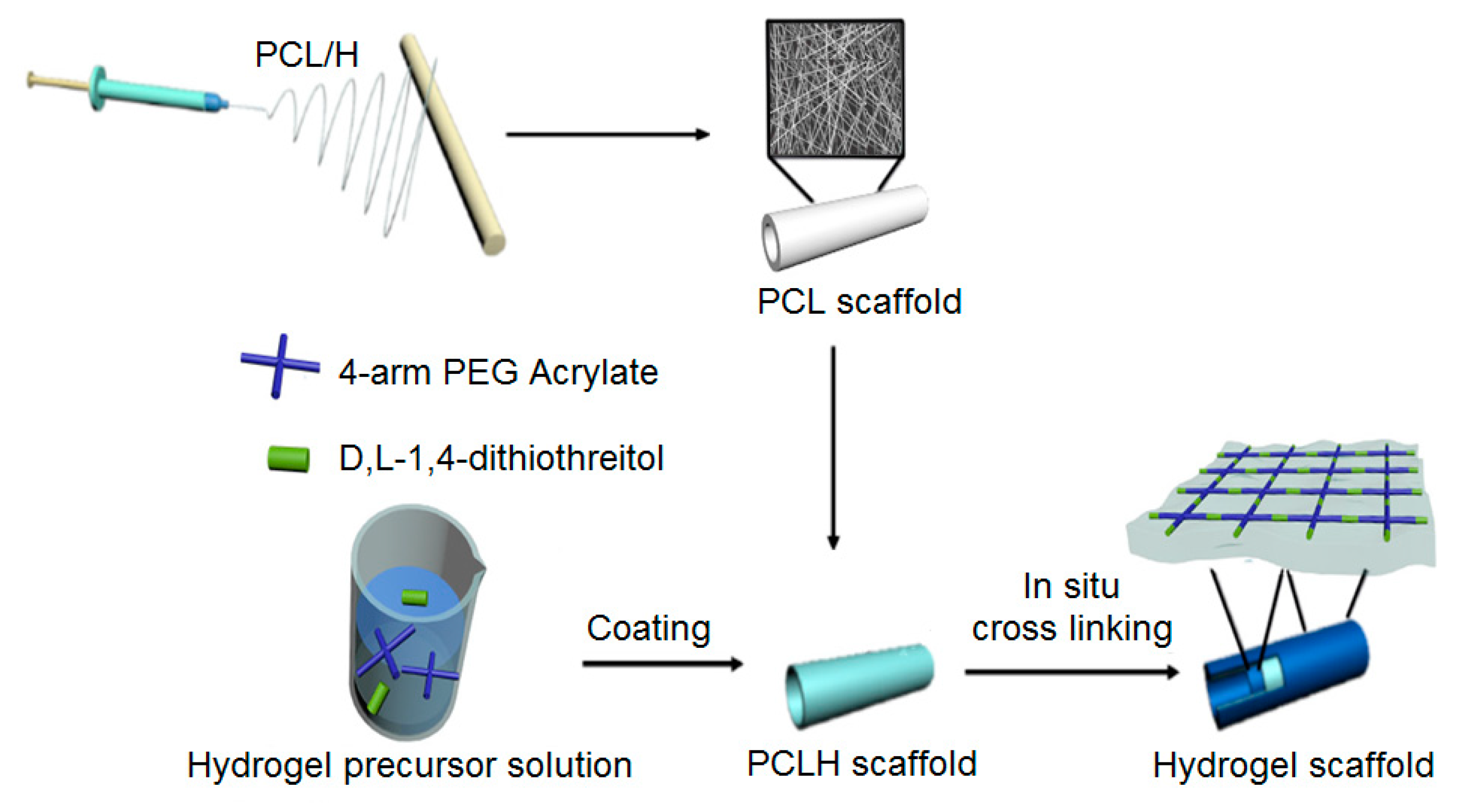 Frontiers  Polyvinyl alcohol coating prevents platelet adsorption and  improves mechanical property of polycaprolactone-based small-caliber  vascular graft