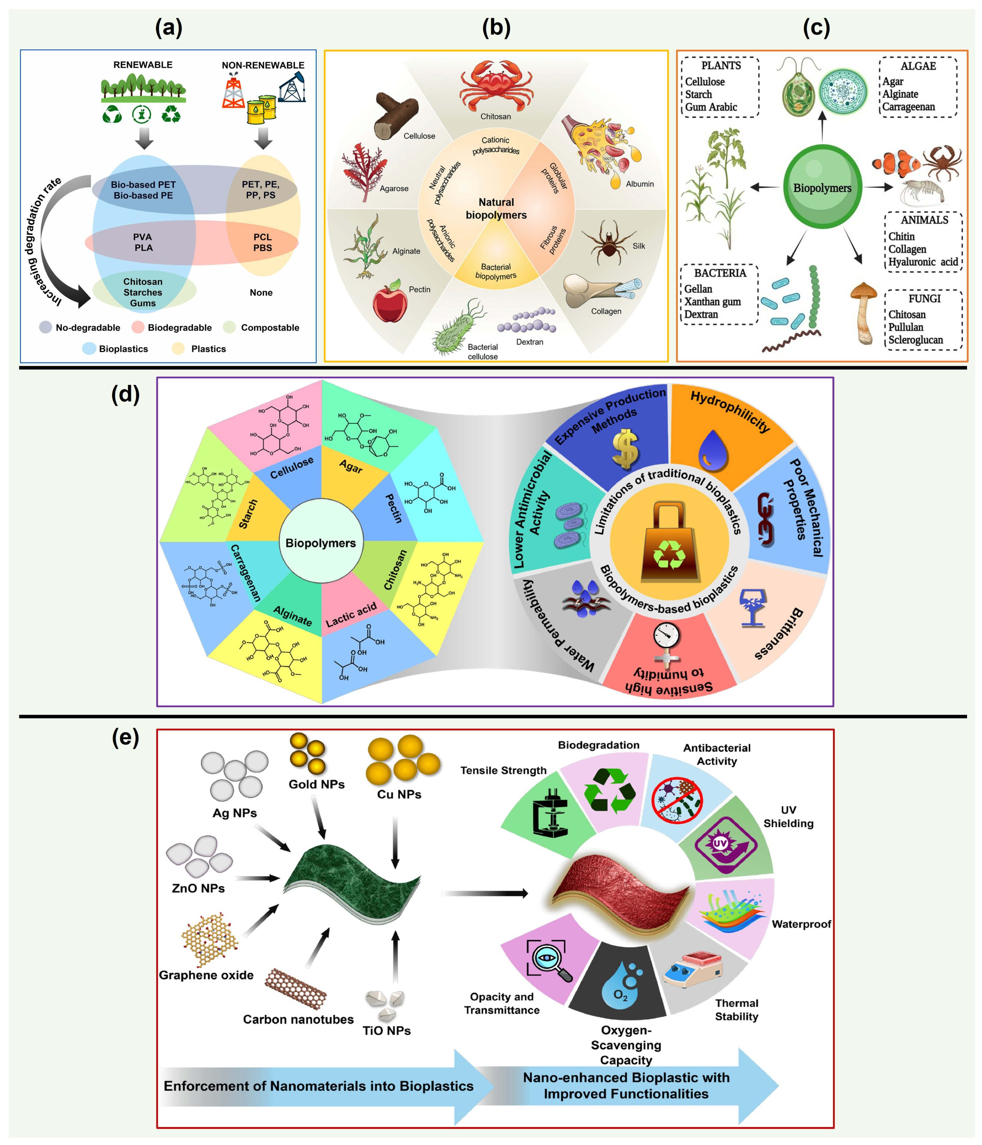 Bio-Based Polymer Composites and Nanocomposites: A Sustainable Approach