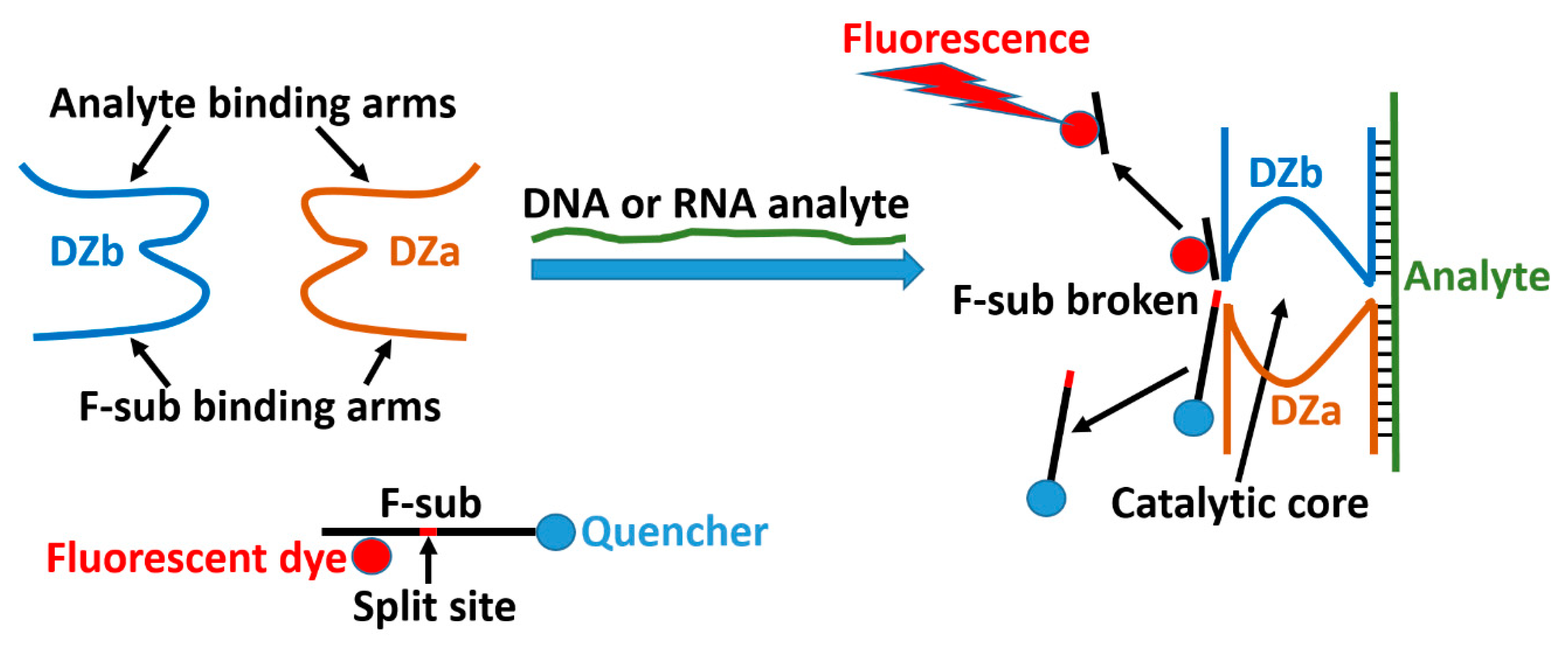 Magnetochemistry | Free Full-Text | Towards Nanomaterials for Cancer  Theranostics: A System of DNA-Modified Magnetic Nanoparticles for Detection  and Suppression of RNA Marker in Cancer Cells