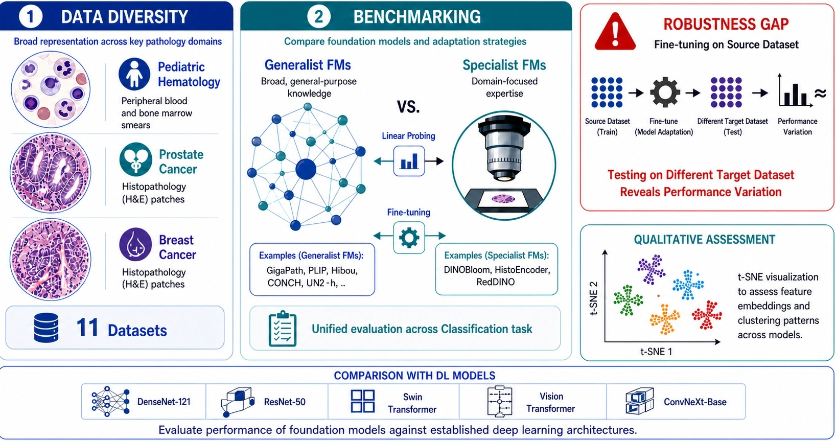 Do Foundation Models Truly Outperform Domain-Specific Models? Evidence ...