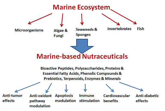 Marine Drugs, Free Full-Text