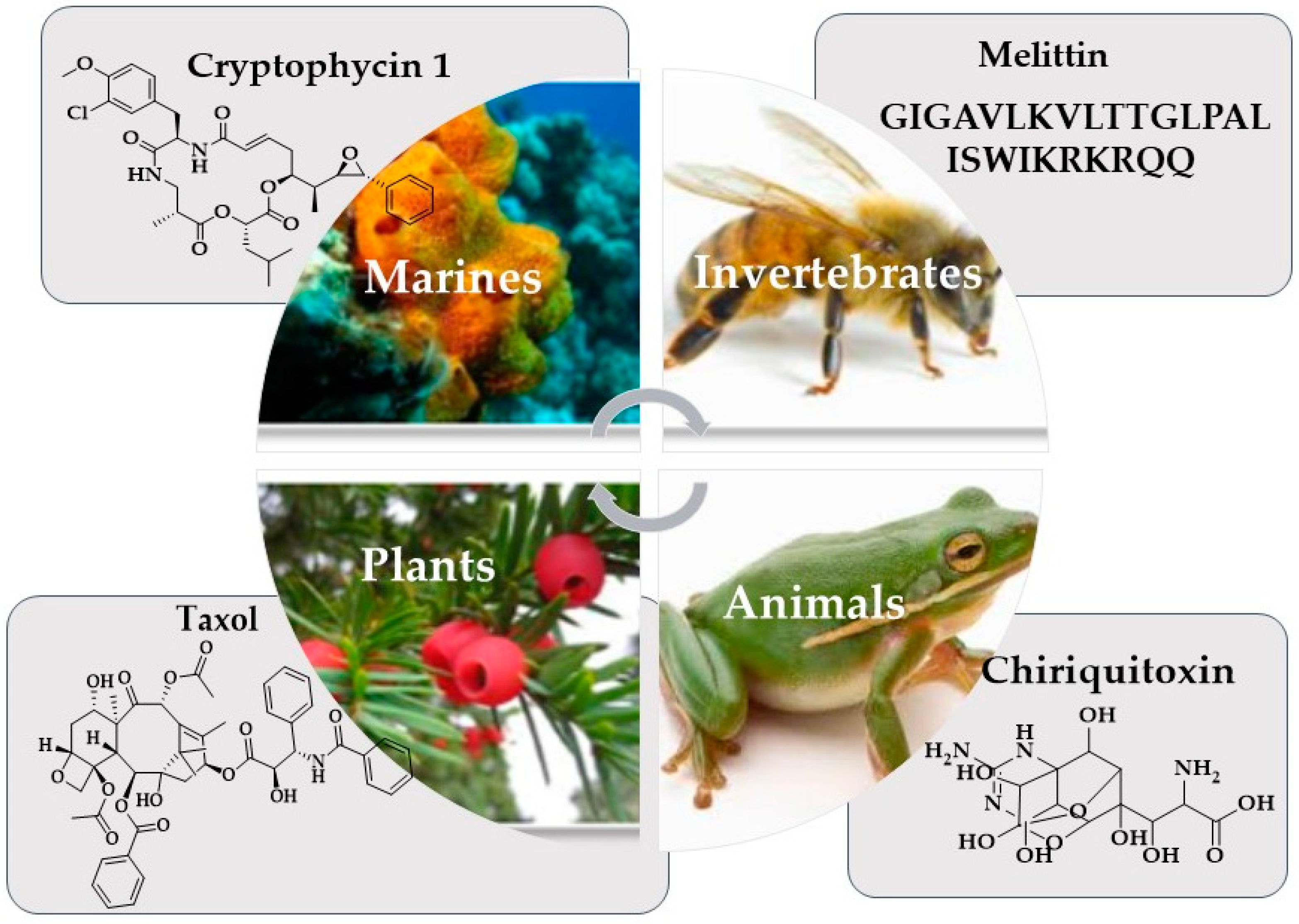 Marine Drugs | Free Full-Text | Marine Natural Products: A Source of Novel  Anticancer Drugs