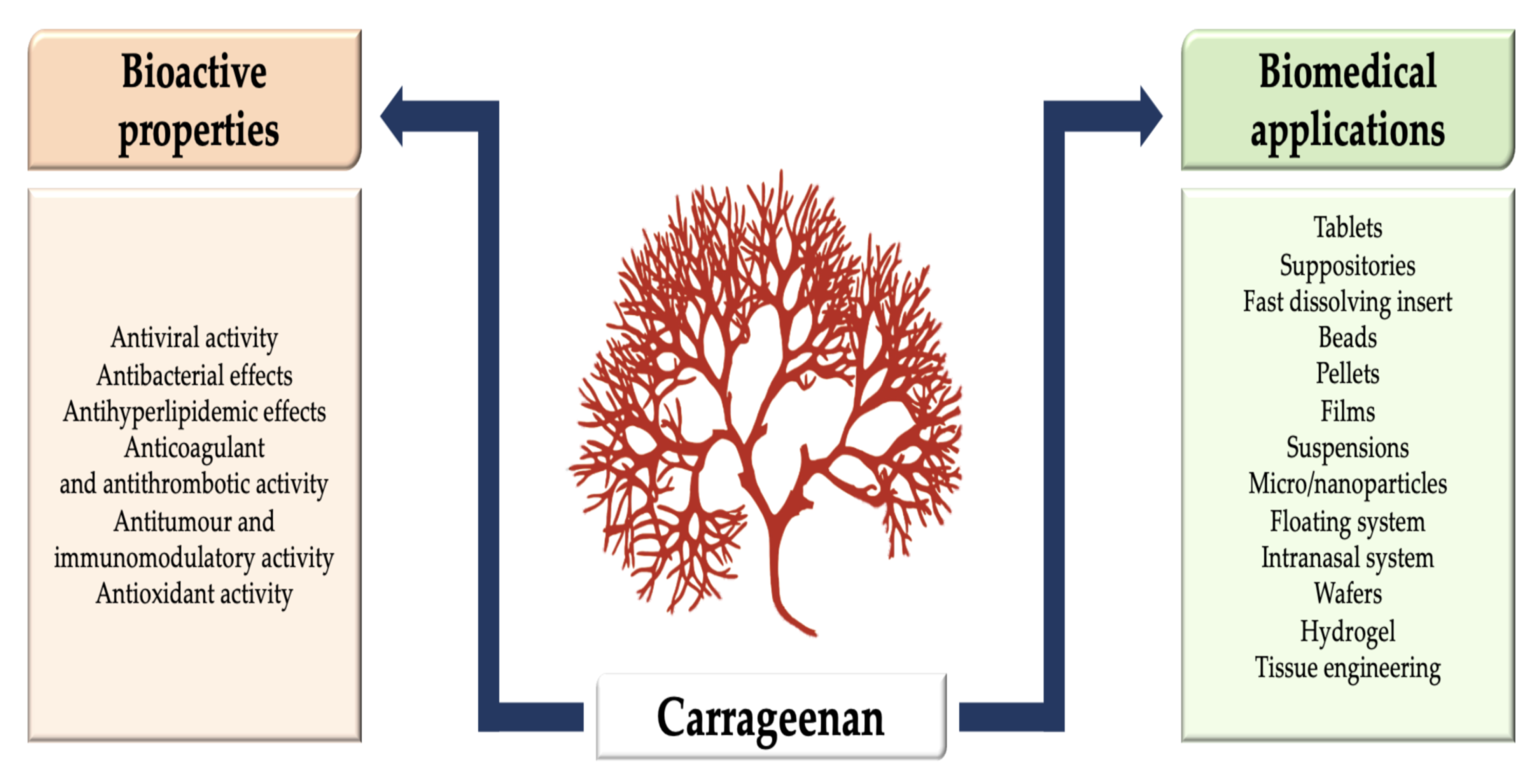 Carrageenan, iota type, Thermo Scientific Chemicals, Quantity: 100