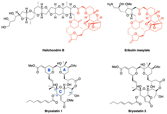 marine-drugs-topical-collection-ocean4biotech