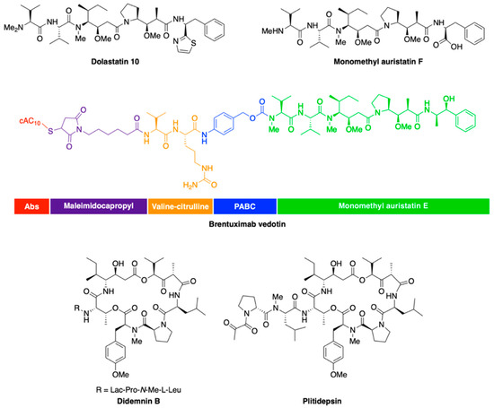 marine-drugs-topical-collection-ocean4biotech