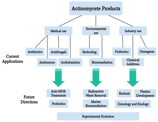 marine-drugs-free-full-text-marine-actinomycetes-new-sources-of