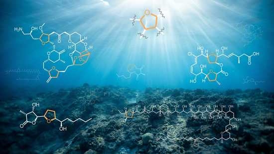 Marine Drugs: Khám phá thế giới dưới đại dương với những hợp chất sinh học đầy tiềm năng từ đại dương và các loại thuốc mới. Tìm hiểu về những sản phẩm từ biển sâu giúp cải thiện sức khỏe, hỗ trợ điều trị các bệnh nan y và có tác dụng ngăn ngừa bệnh tật.