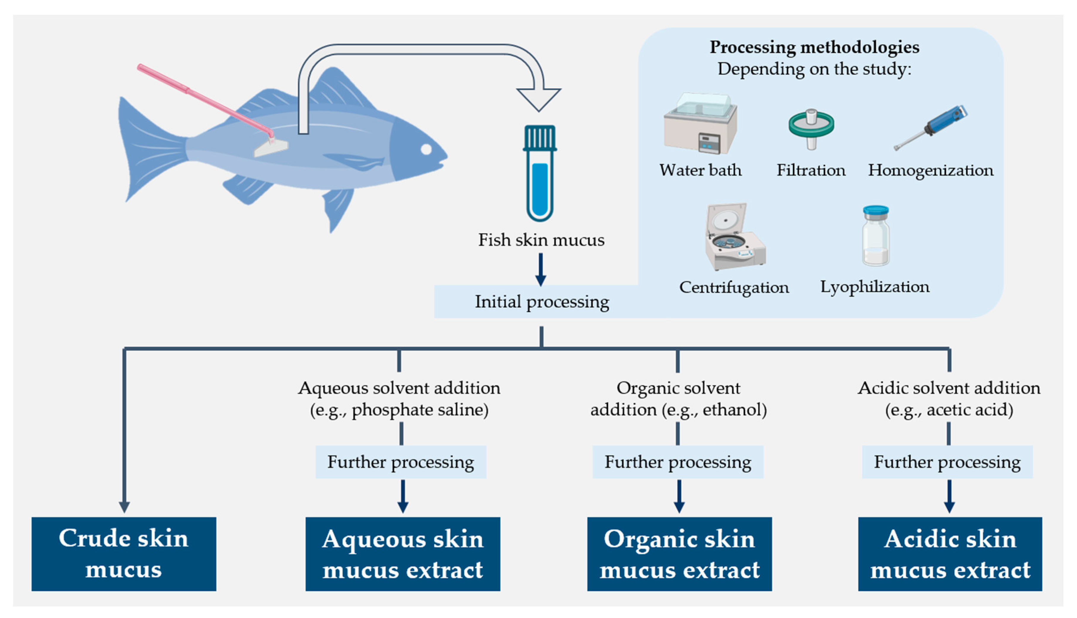 Marine Drugs | Free Full-Text | Fish Skin Mucus Extracts: An ...