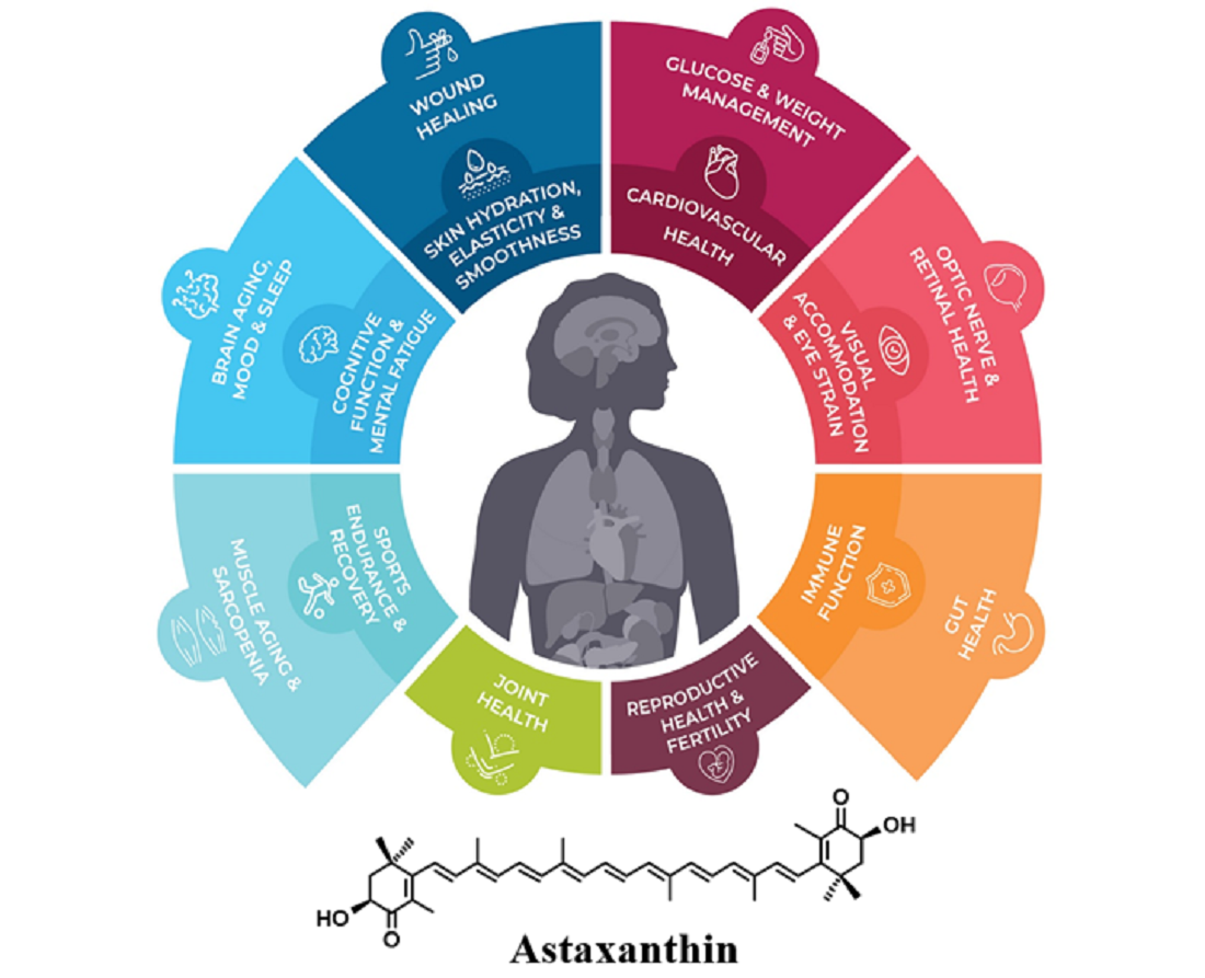 Marine Drugs | Free Full-Text | Astaxanthin: Past, Present, and Future