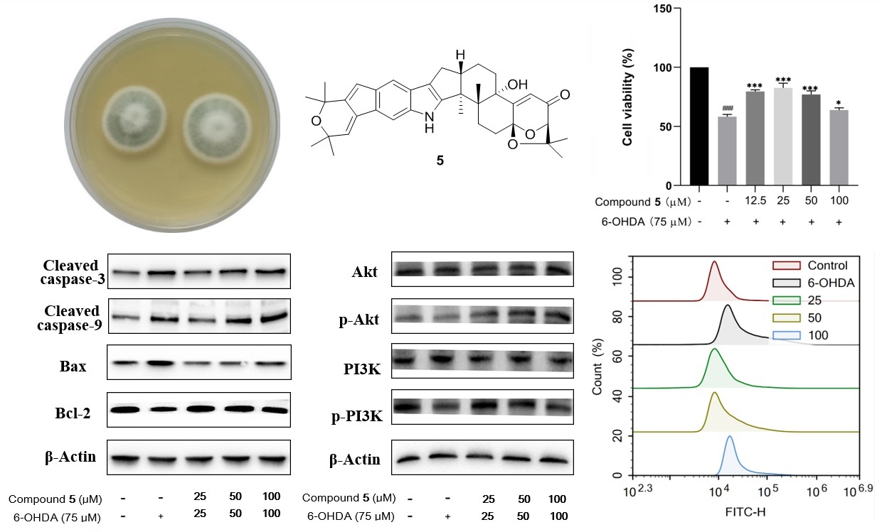 Marine Drugs | Free Full-Text | Indole Diterpenes from Mangrove