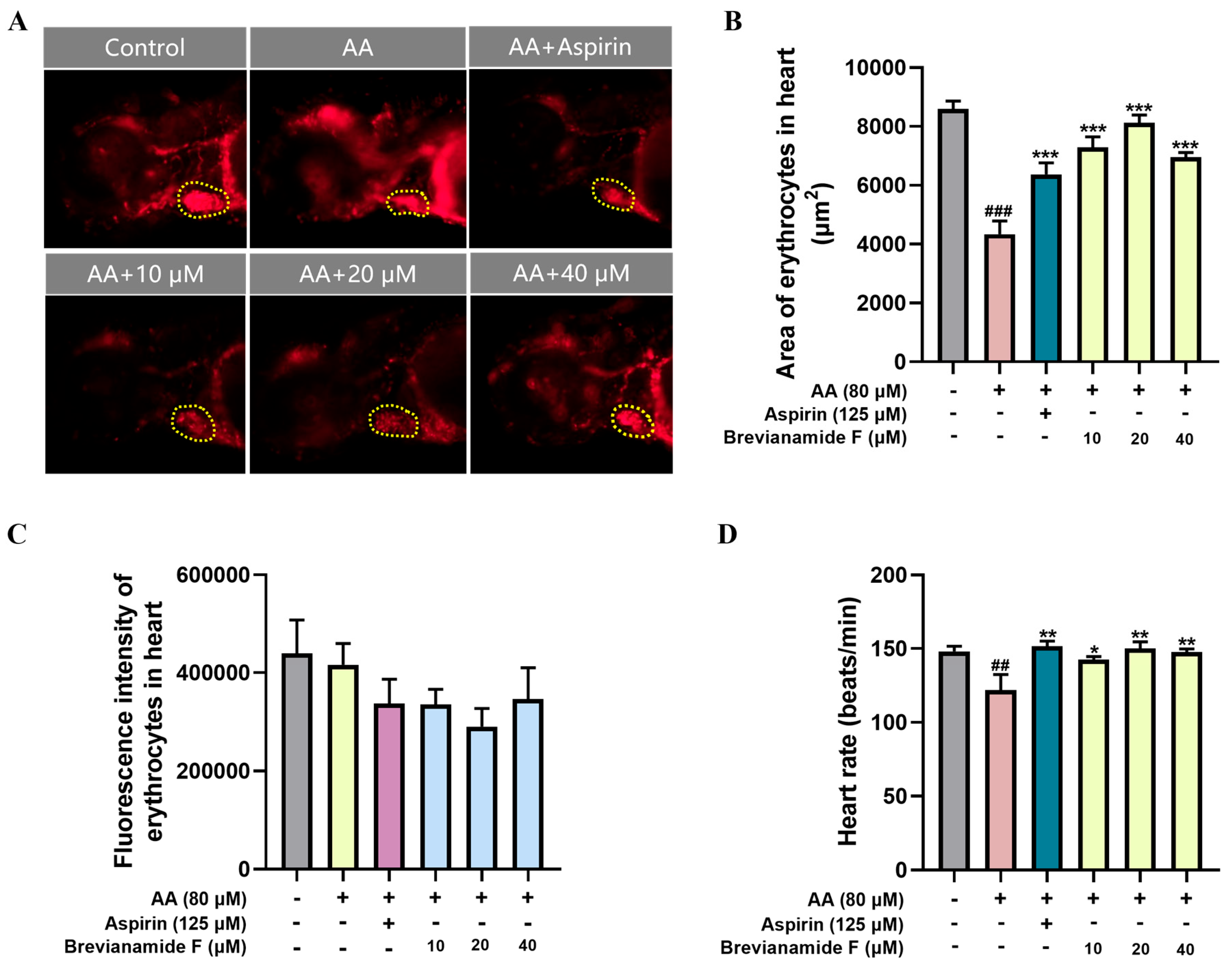 Brevianamide F Exerts Antithrombotic Effects by Modulating the MAPK ...