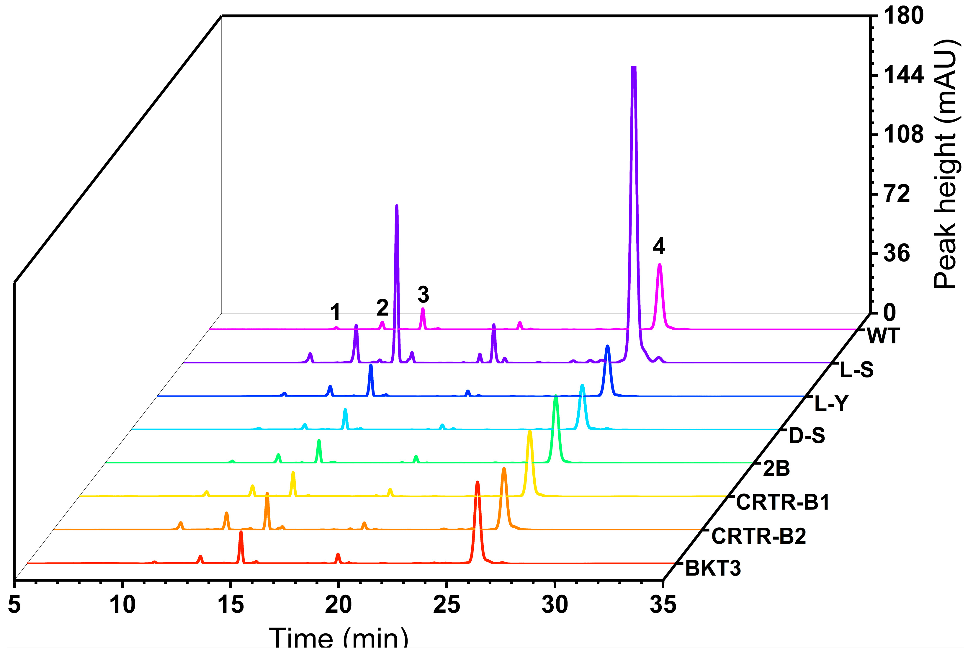 Effect of Heterologous Expression of Key Enzymes Involved in