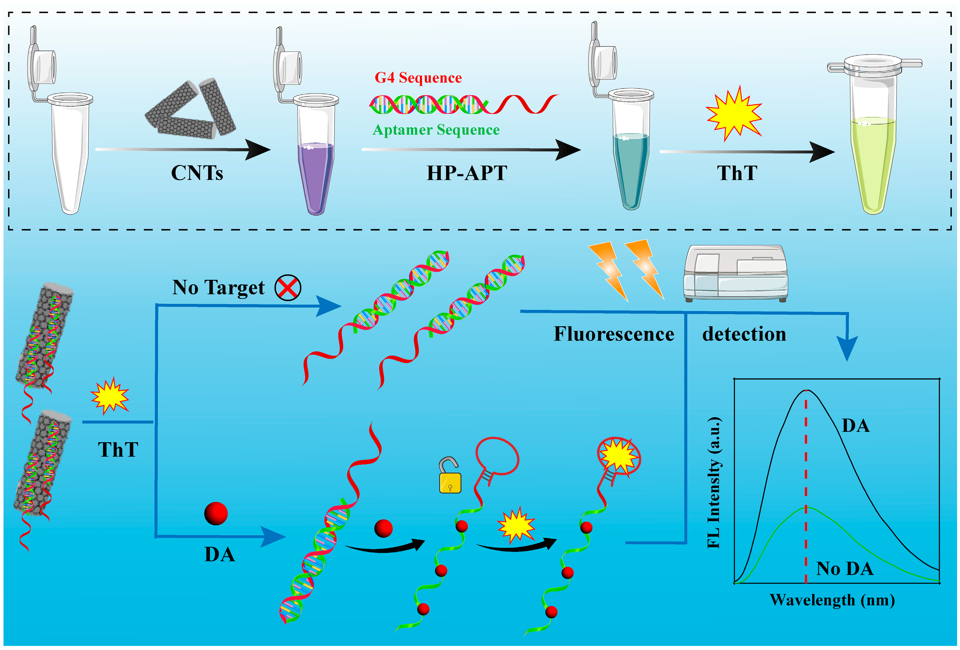 Aptamer-Based Dual-Cascade Signal Amplification System Lights up G ...