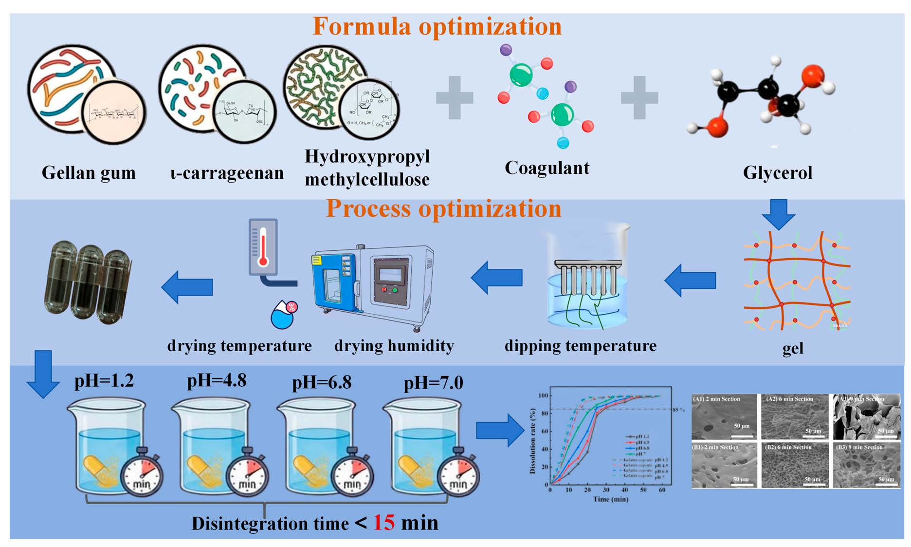 Development of HPMC-Based Hard Capsules with Rapid Disintegration ...