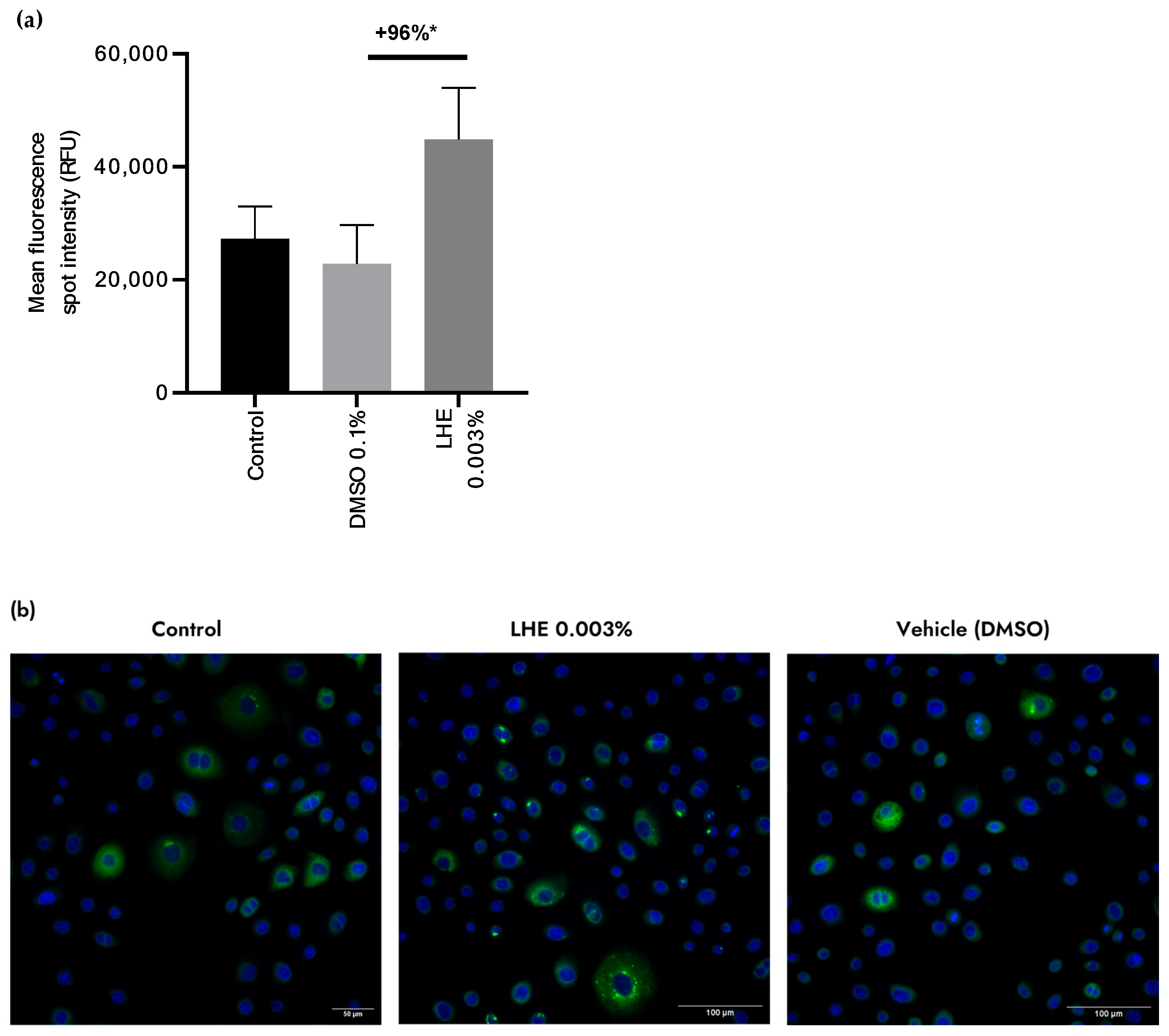 Seaweed Derived Extract Targets Porphyr ageing To Modulate The Visible seaweed-derived-extract-targets-porphyr-ageing-to-modulate-the-visible