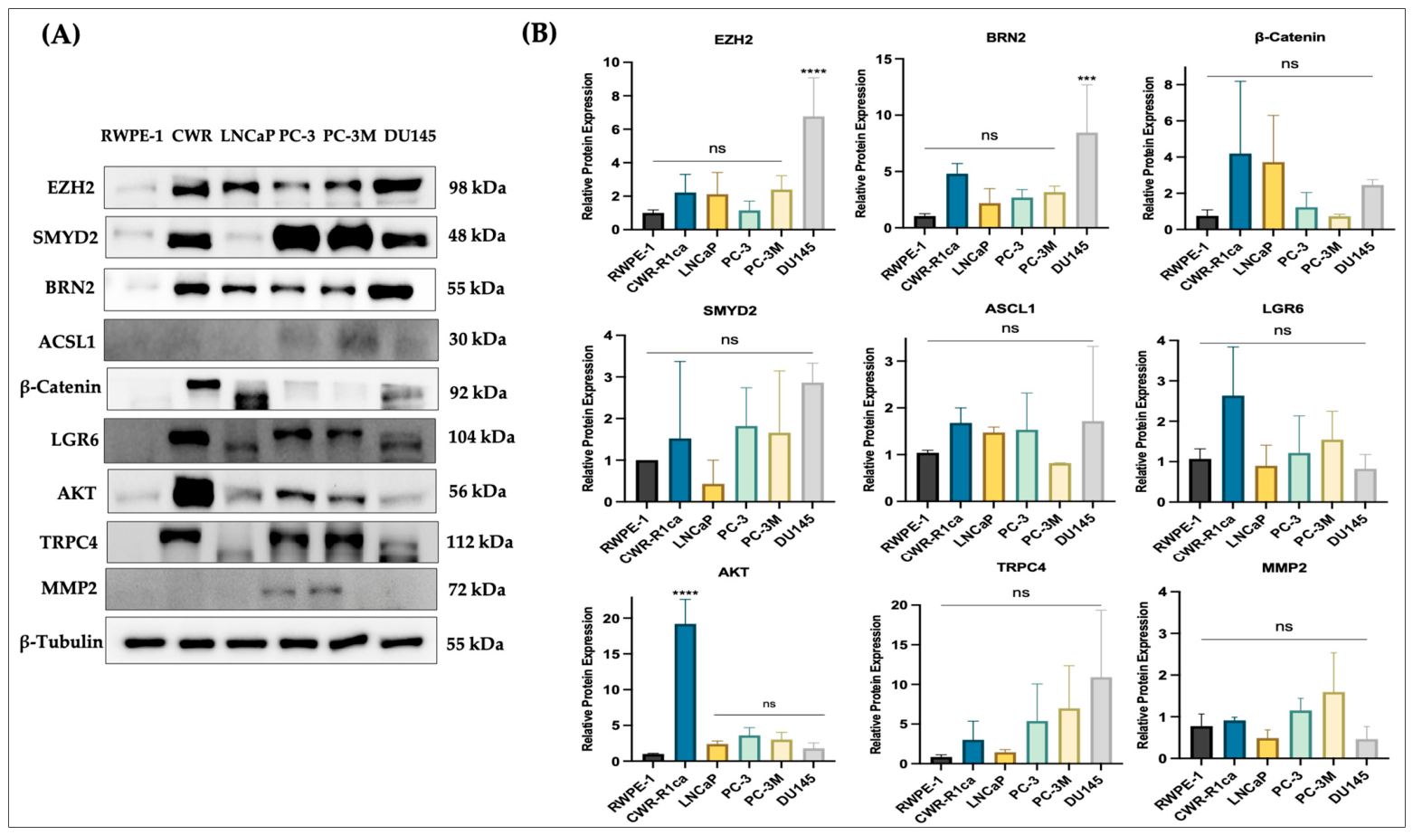 The Marine Cembranoid Sarcophine Suppressed the Progression and ...