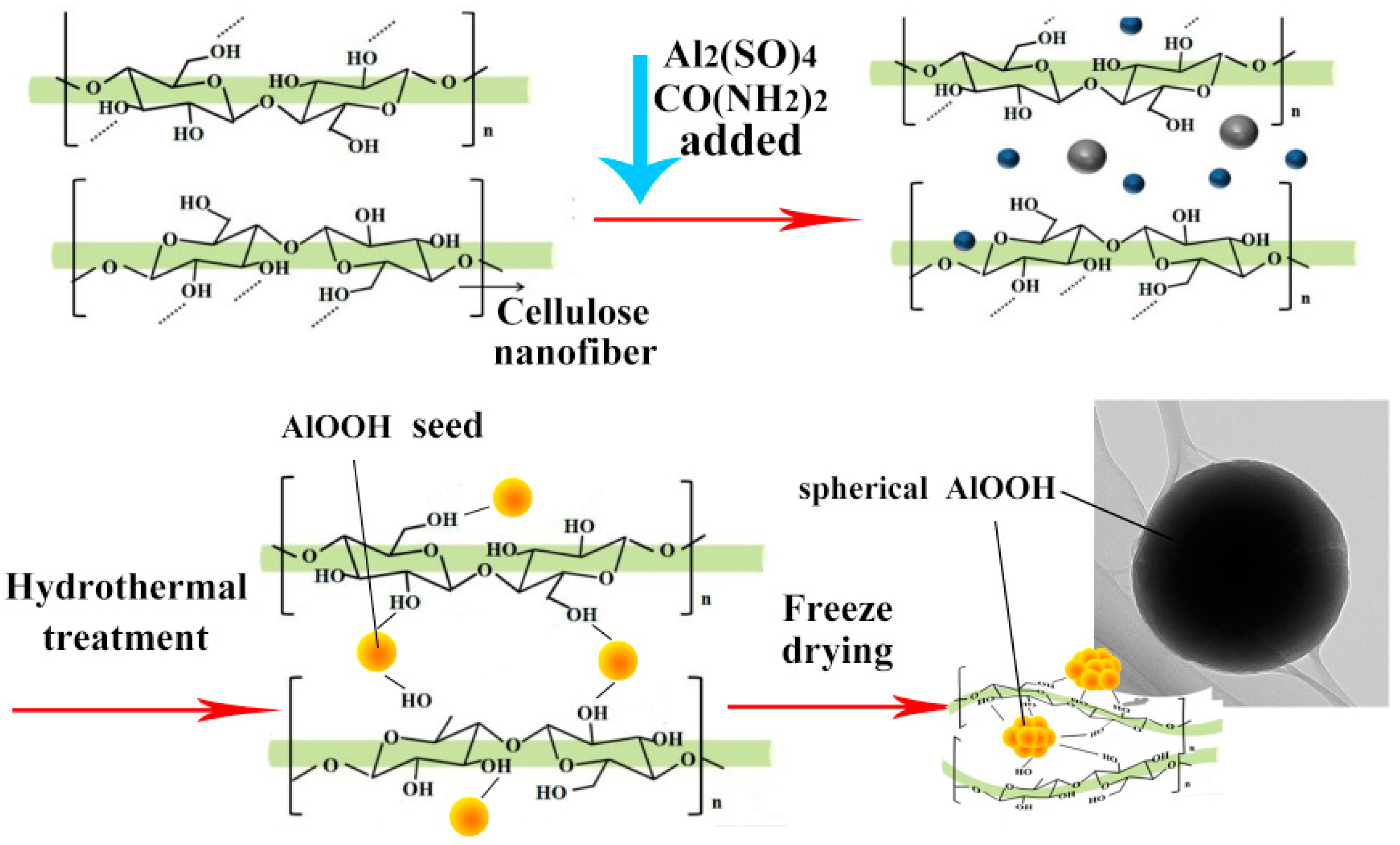 Materials Free Full Text Fabrication Of Cellulose Nanofiber Alooh Aerogel For Flame