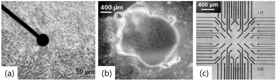 Recent Progress on Microelectrodes in Neural Interfaces