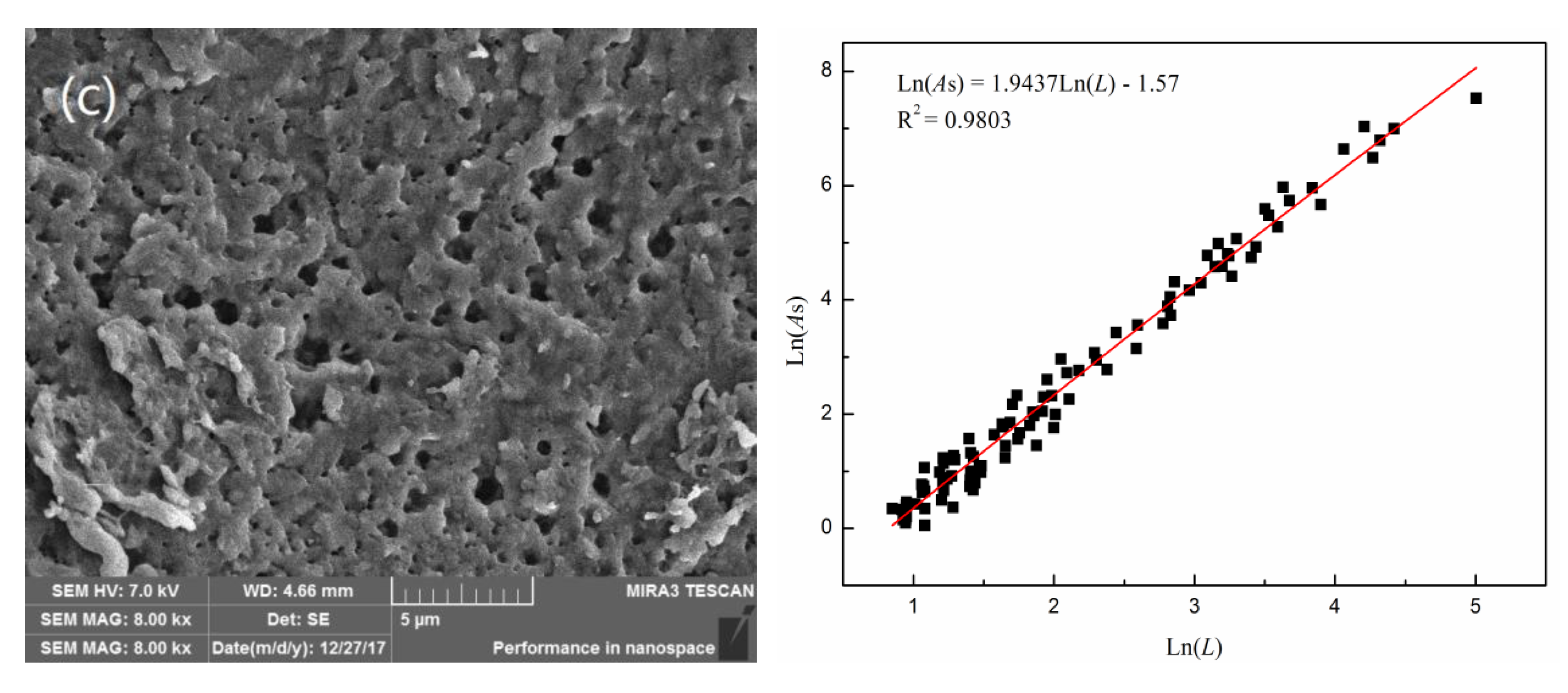 Materials | Free Full-Text | Fabrication Of Bifunctional Chitosan-Based ...