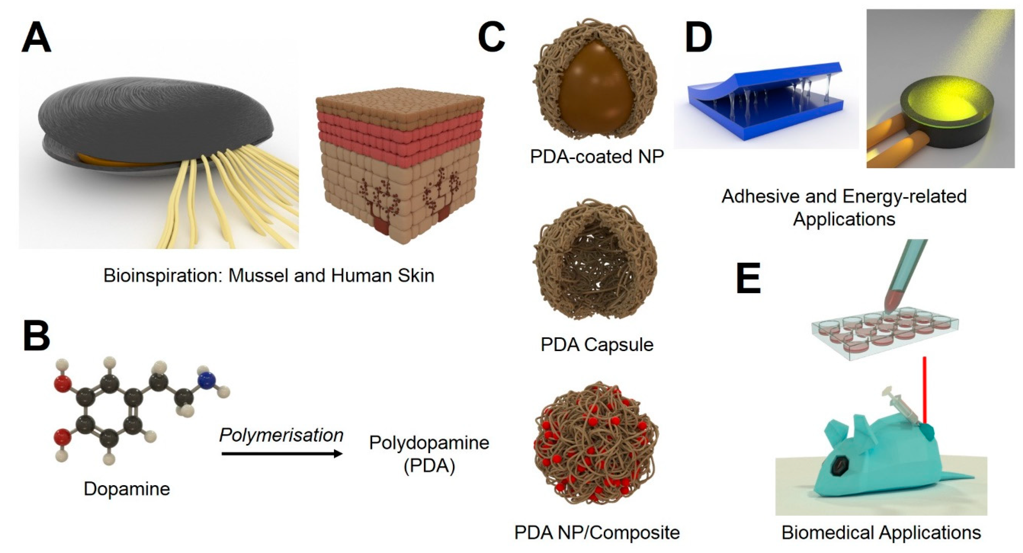 Materials | Free Full-Text | From Bioinspired Glue to Medicine 