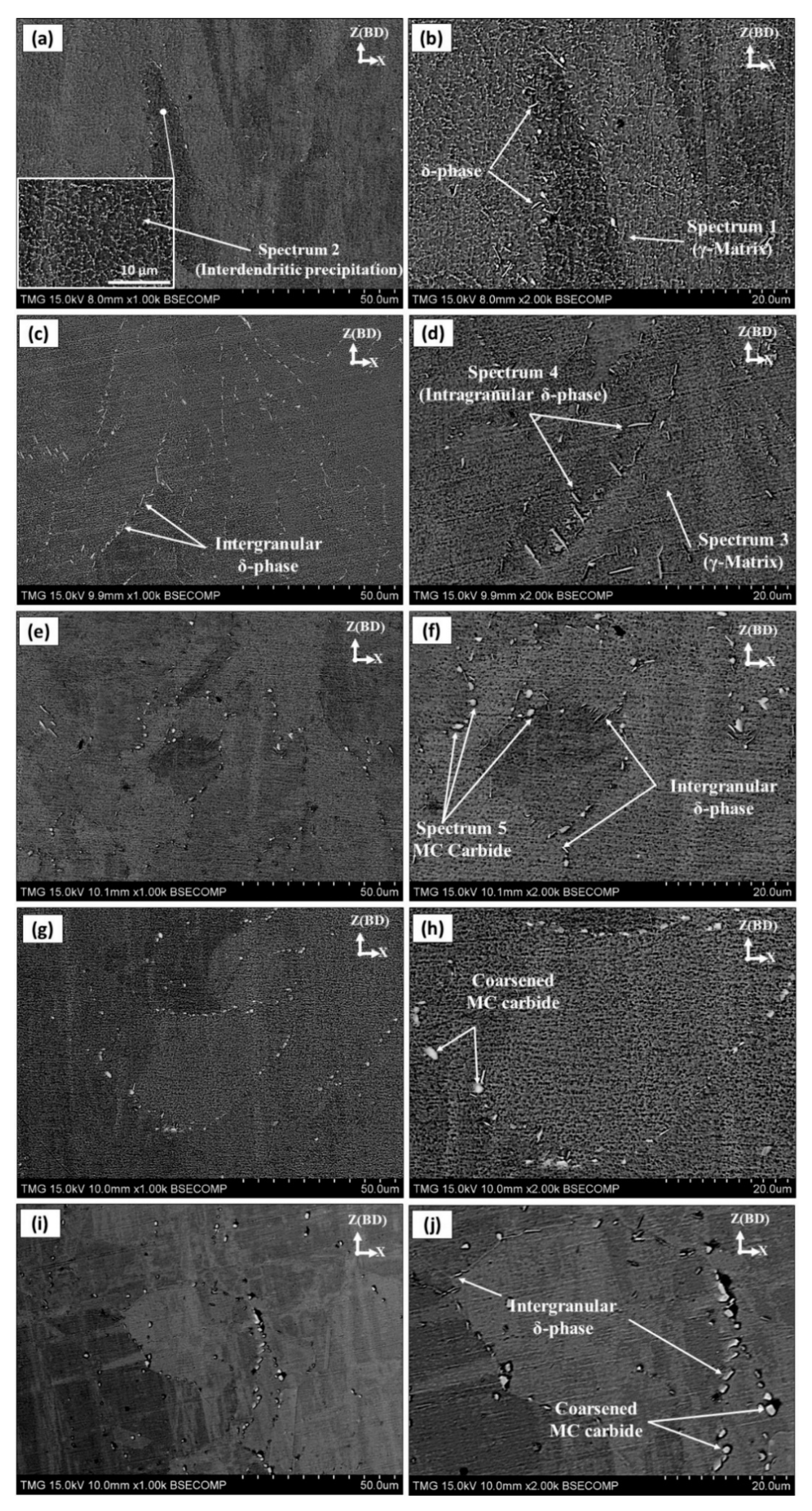 TEM images of micromorphology of (A) HSA and (B) DDC@HSA (scale
