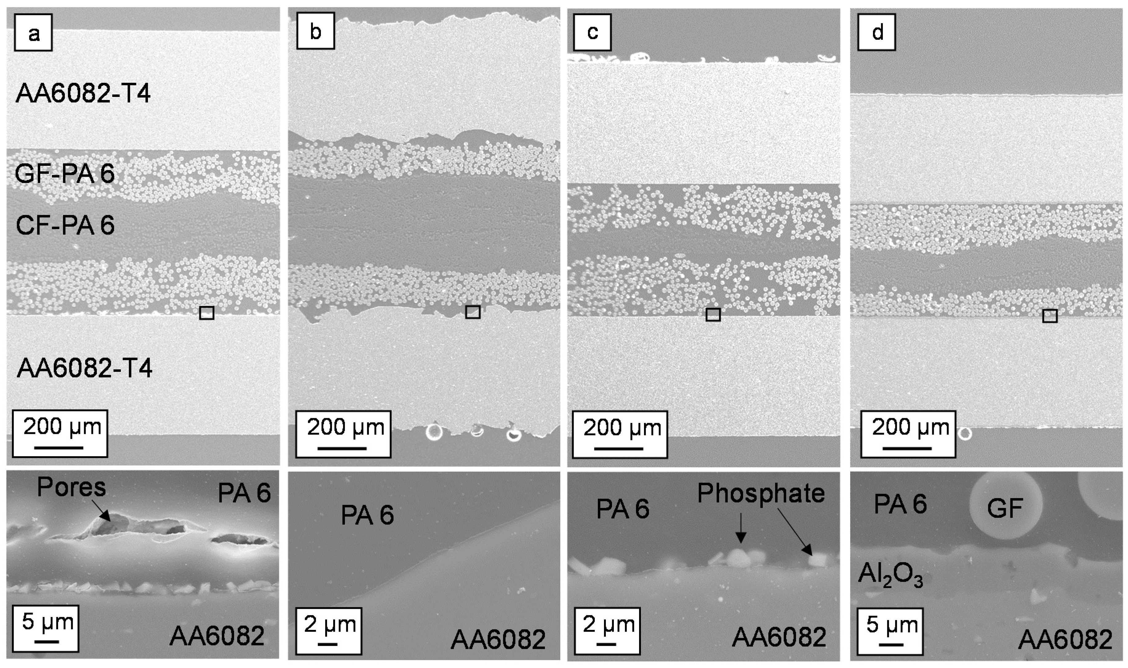 PDF) Topological aspects in the microstructural evolution of AA6082 during  hot plastic deformation