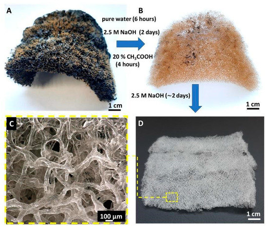 https://pub.mdpi-res.com/materials/materials-14-02992/article_deploy/html/images/materials-14-02992-g001-550.jpg?1622628406