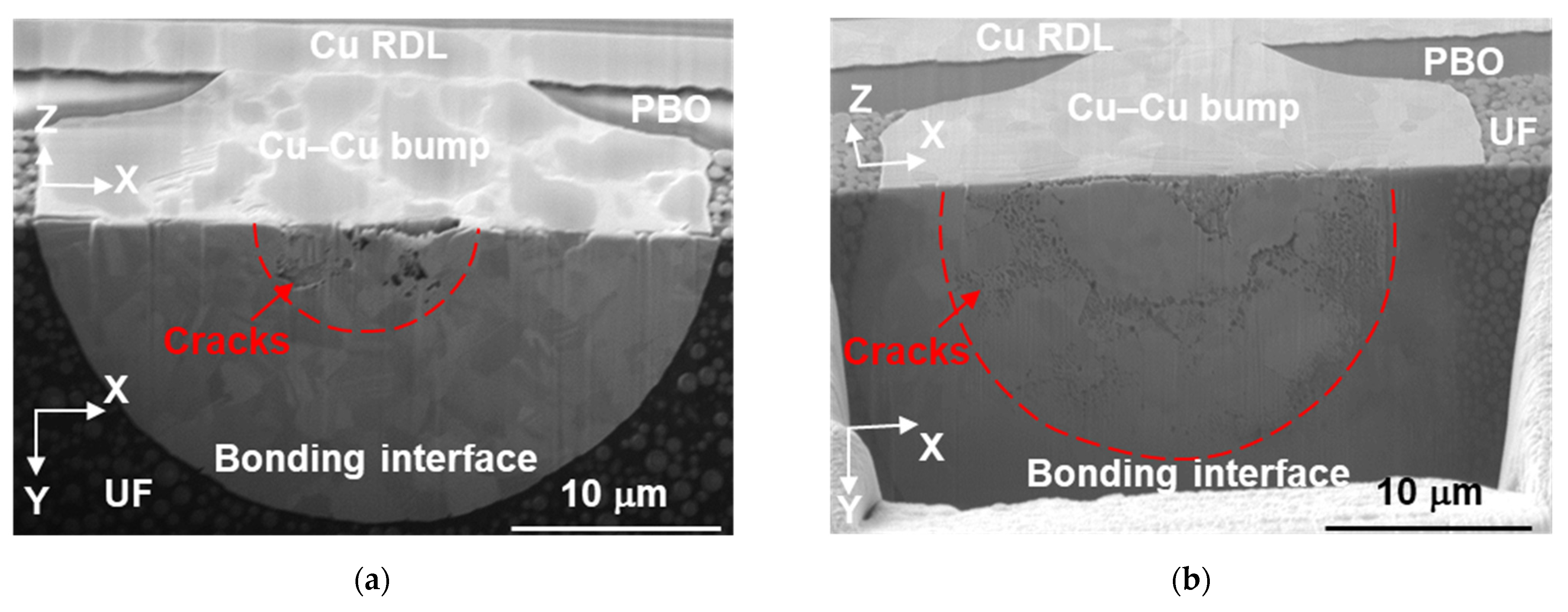 The bond pad redistribution layer (polyimide 1) and the under bump