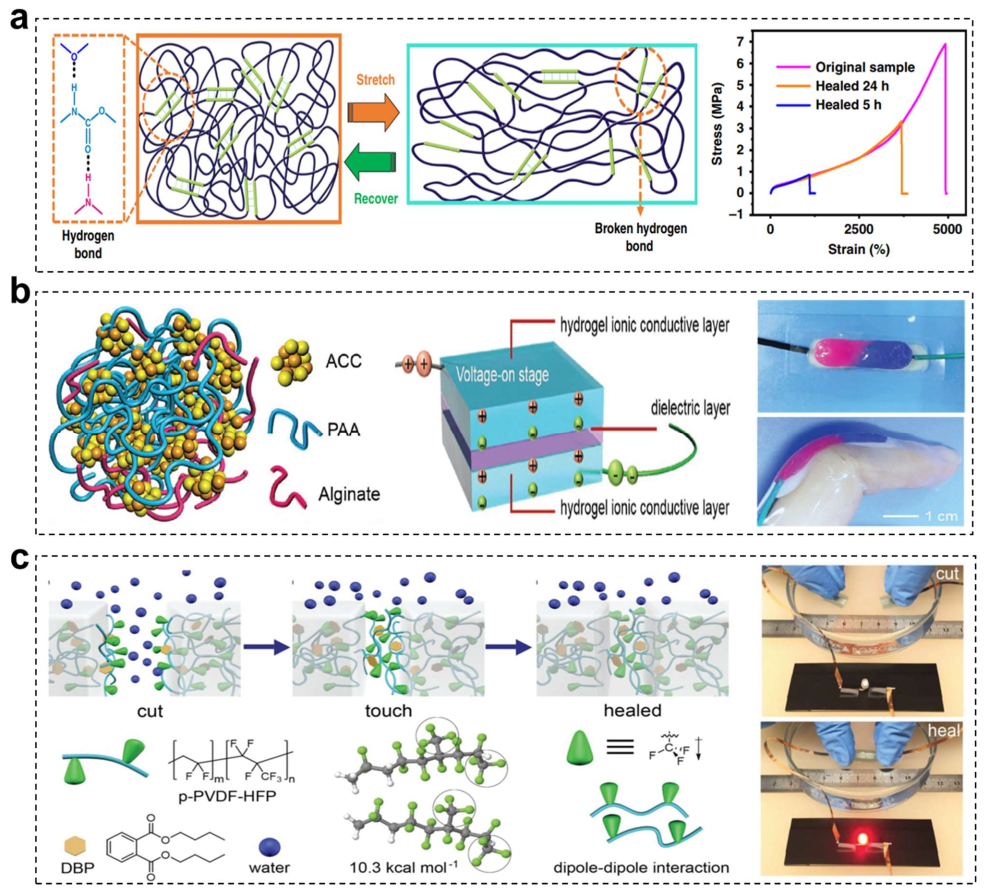 Ultrarobust, tough and highly stretchable self-healing materials based on  cartilage-inspired noncovalent assembly nanostructure