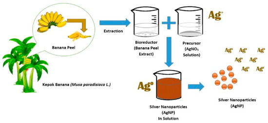 Materials | Free Full-Text | Green Synthesis Of Silver Nanoparticles ...