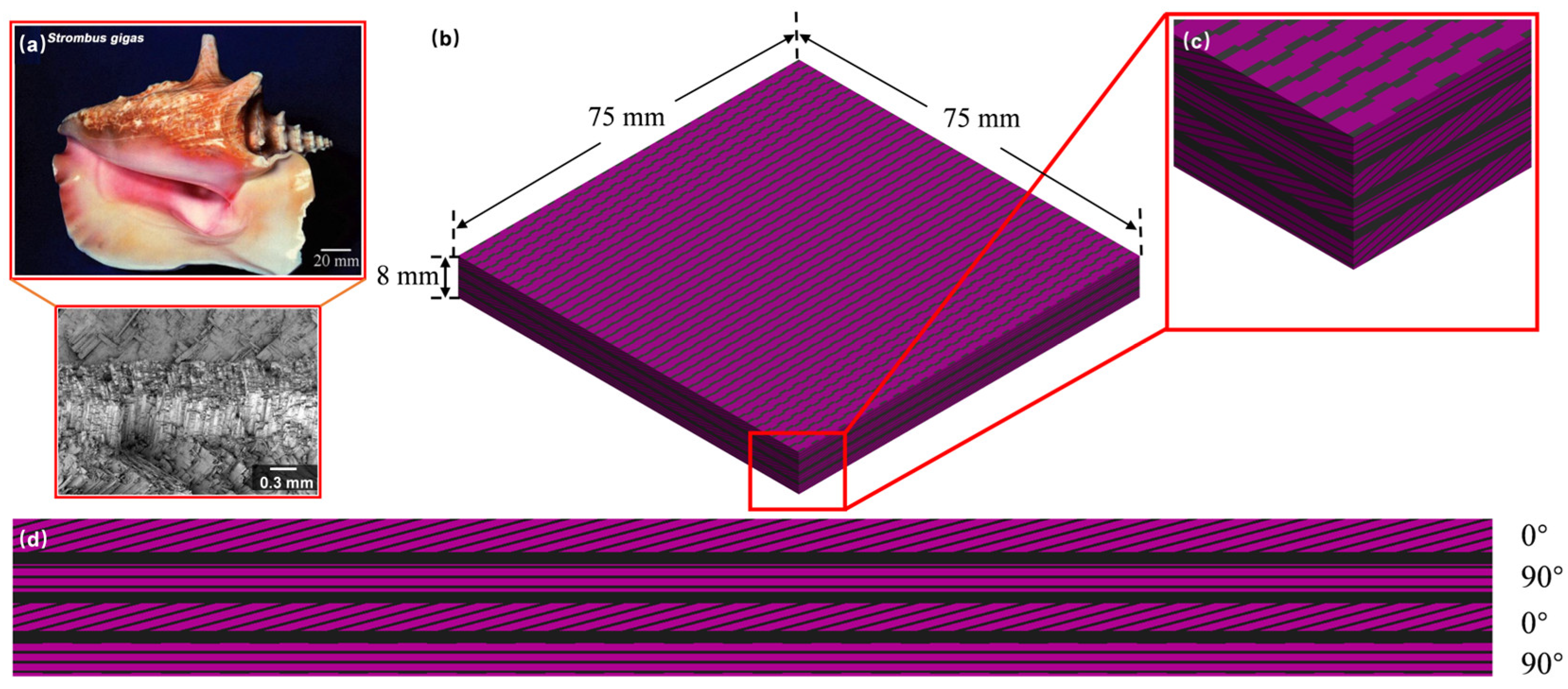 Materials | Free Full-Text | Performance of 3D-Printed Bionic