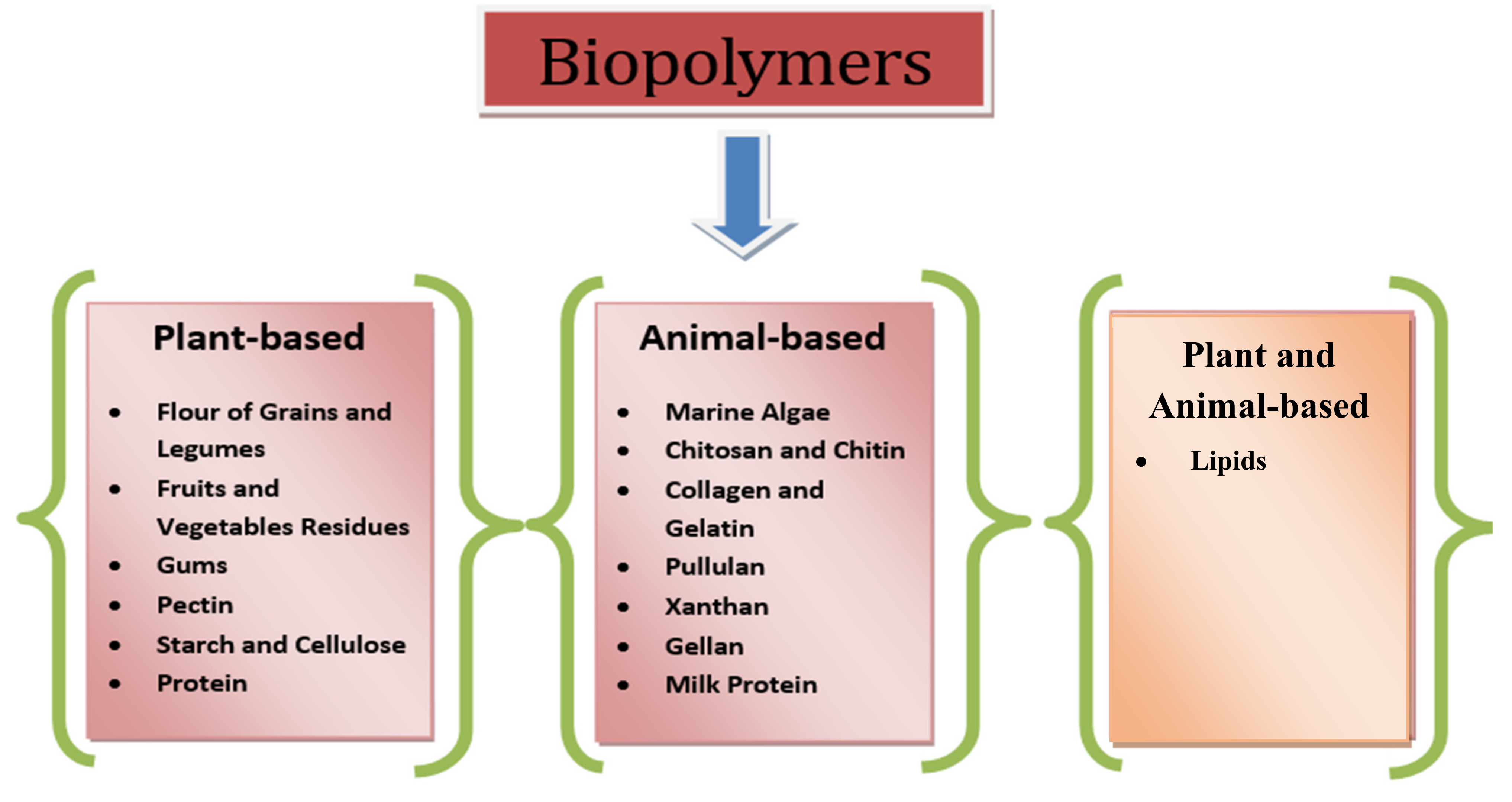 biodegradable polymers examples