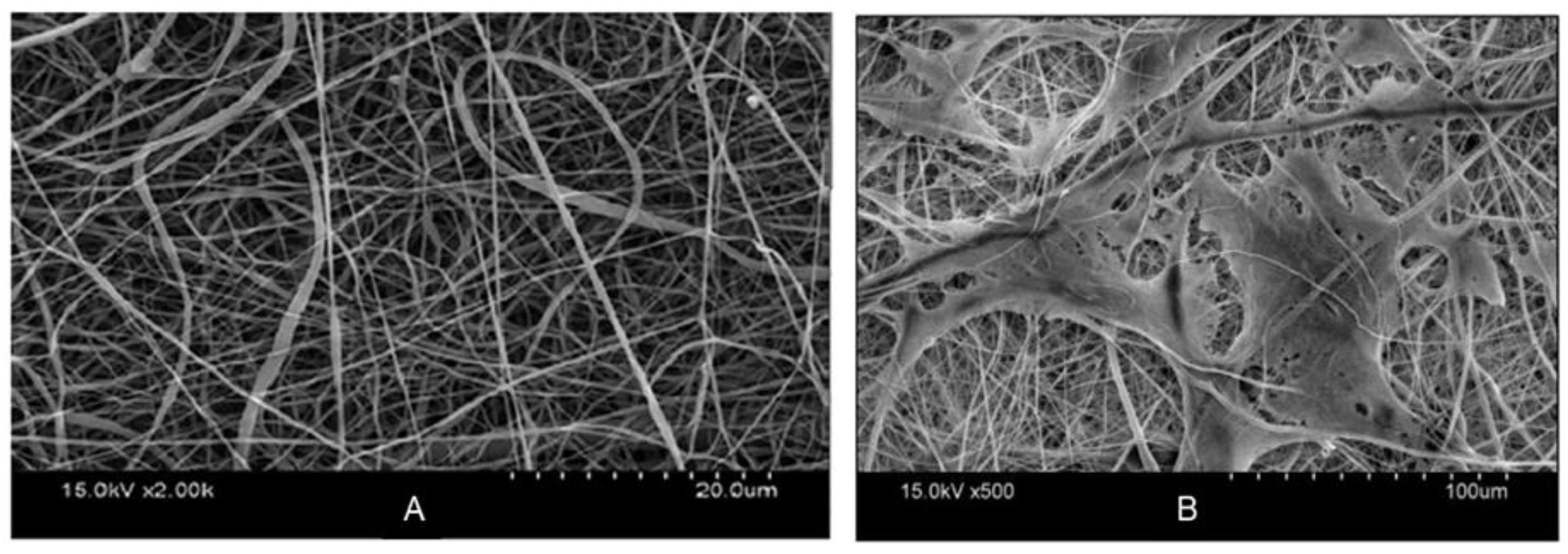 Materials | Free Full-Text | Electrospun Conducting Polymers 