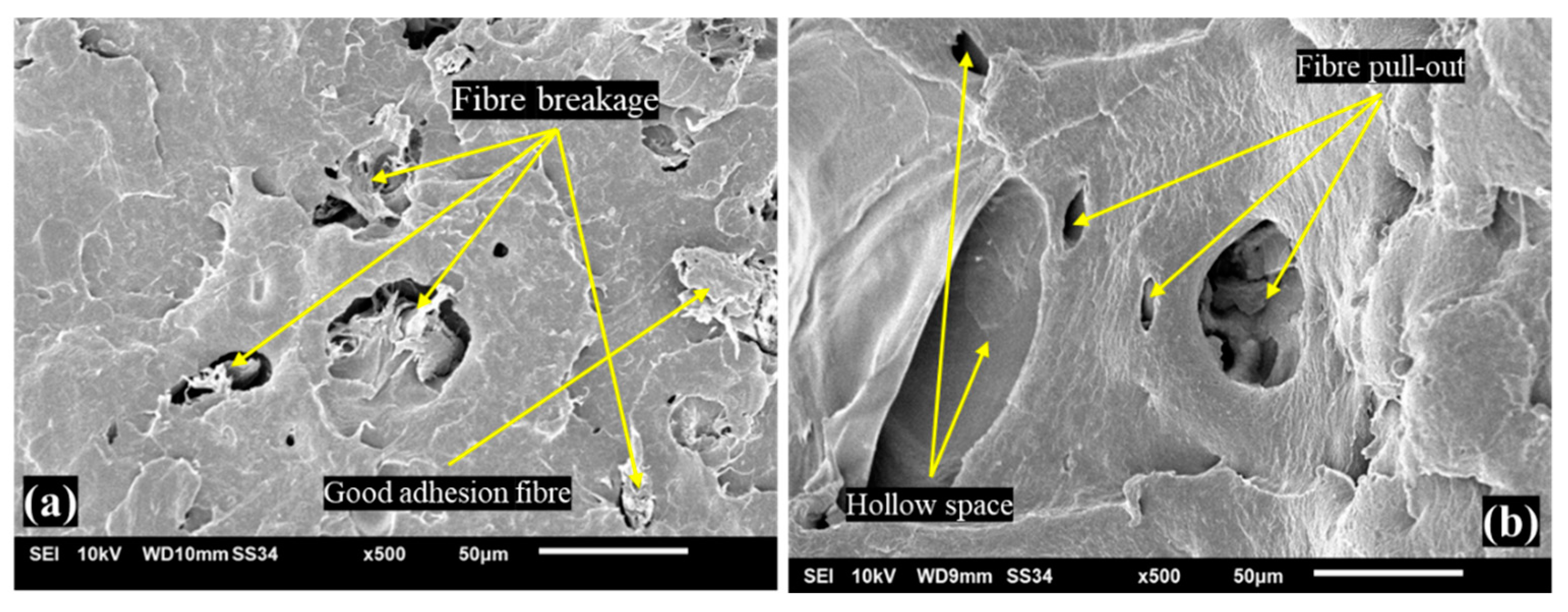 Materials | Free Full-Text | Effect Of Wood Dust Fibre Treatments ...