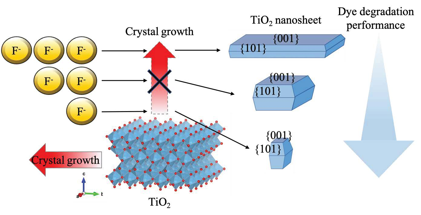 Materials | Free Full-Text | Development of TiO2 Nanosheets with High Dye  Degradation Performance by Regulating Crystal Growth