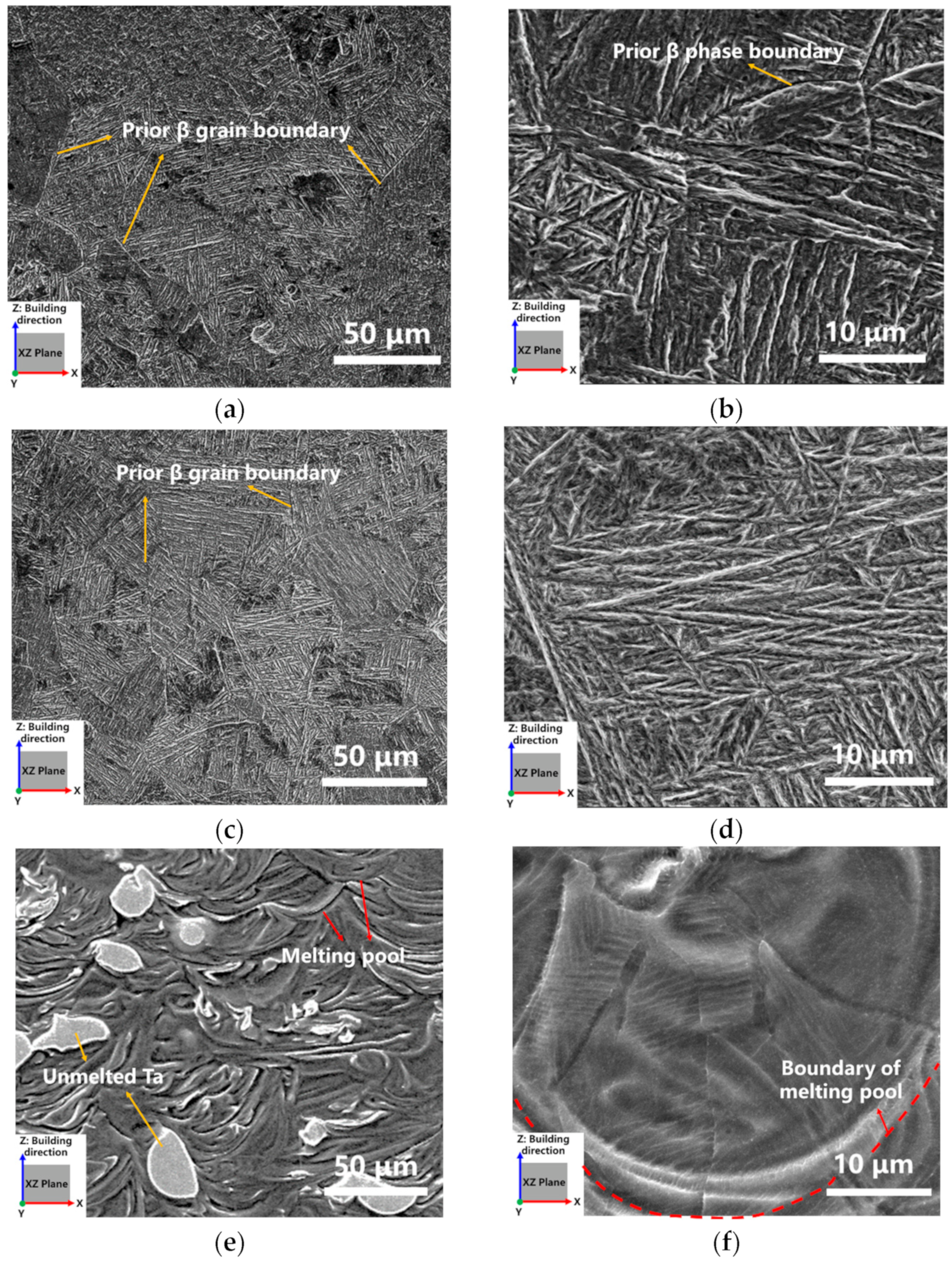 Materials | Free Full-Text | Investigation on the Microstructure 