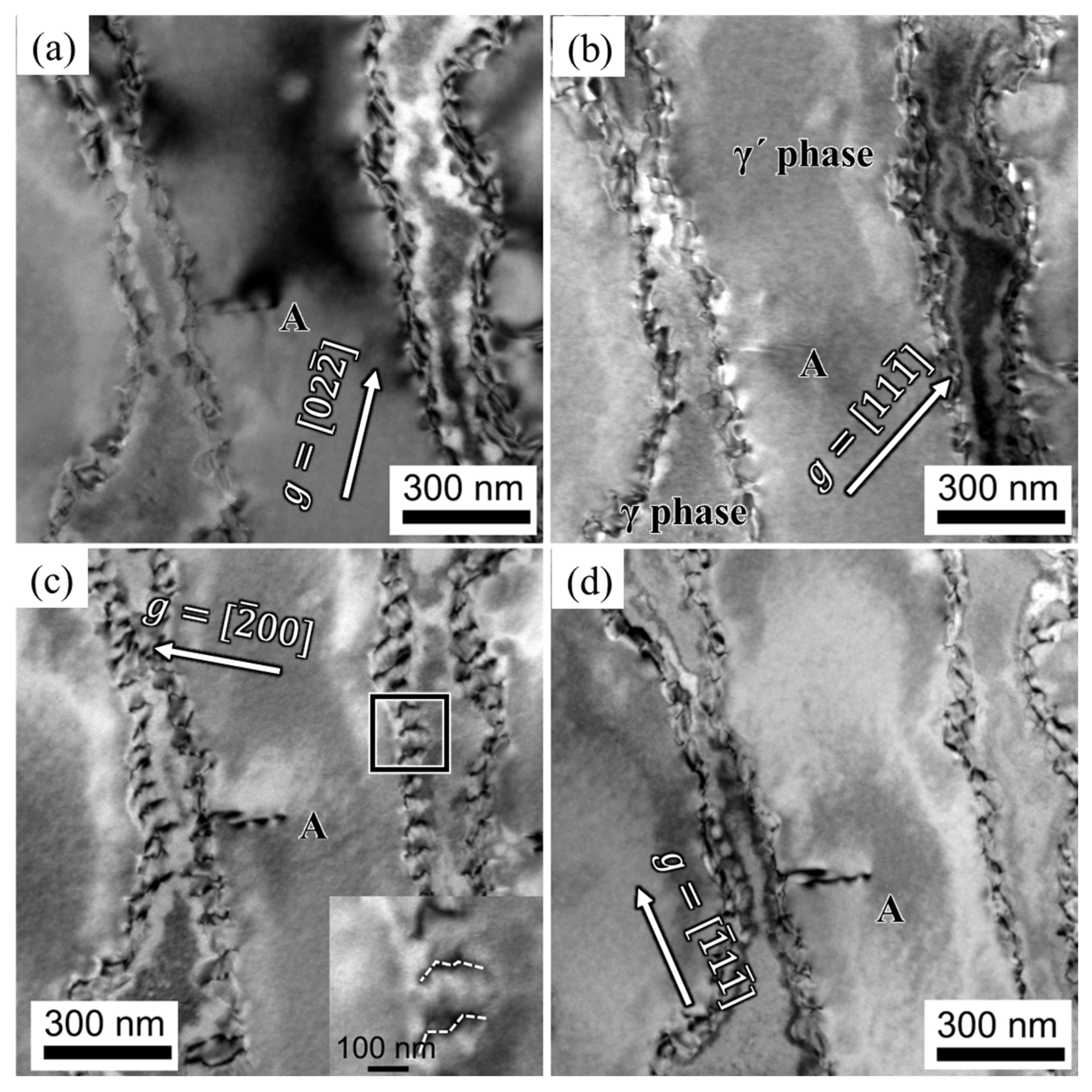 Materials | Free Full-Text | Microstructure Evolution and 