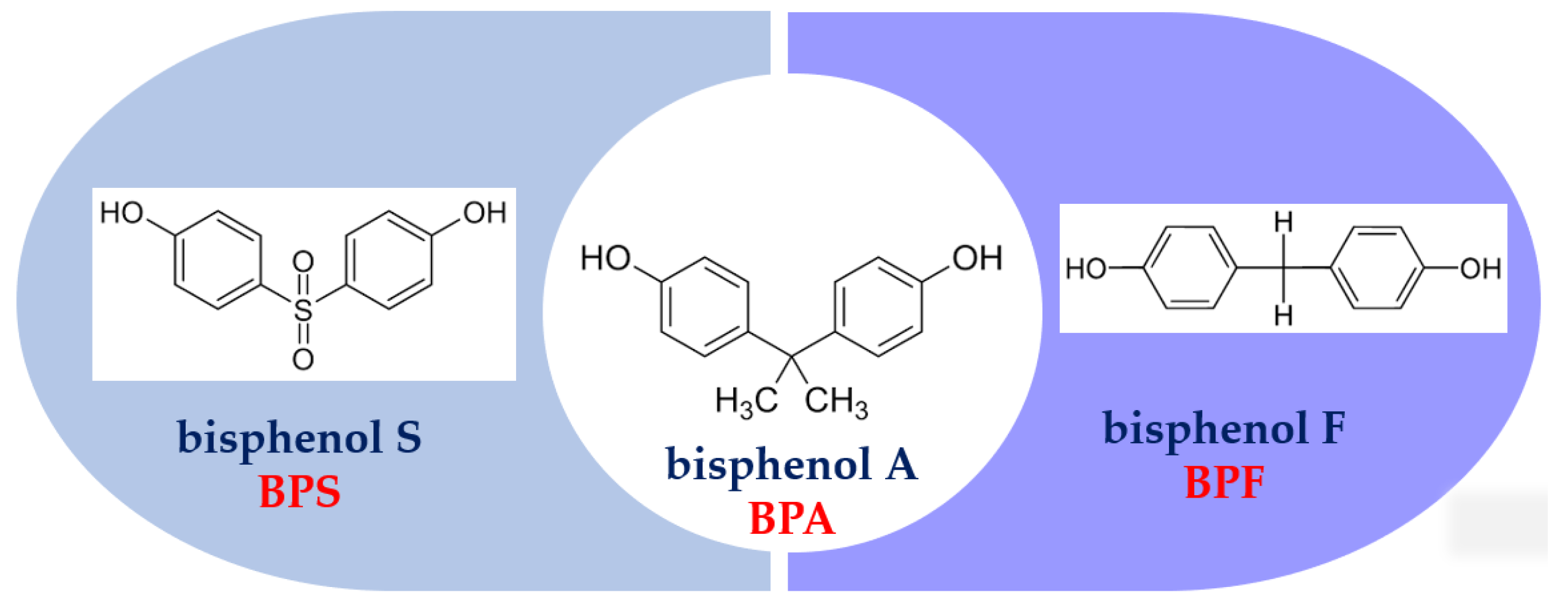 Bisphenol A - Chemicals In Our Life - ECHA