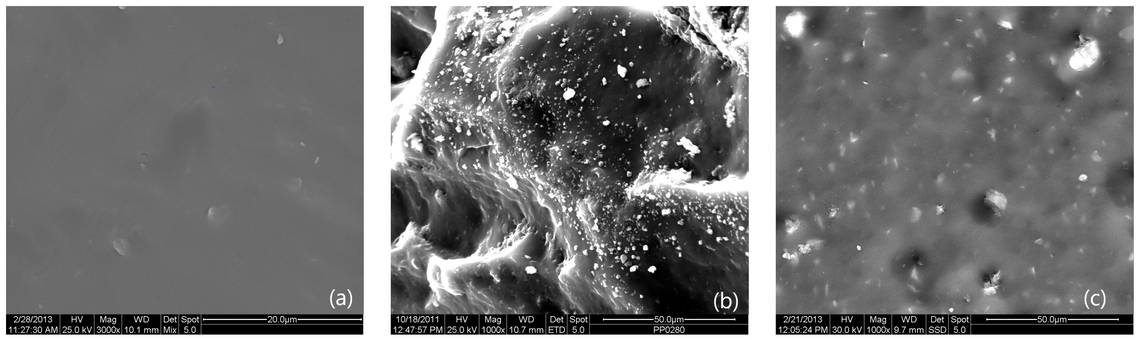 Evaluation of Thermal Stability and Thermal Transitions of Hydroxyl ...