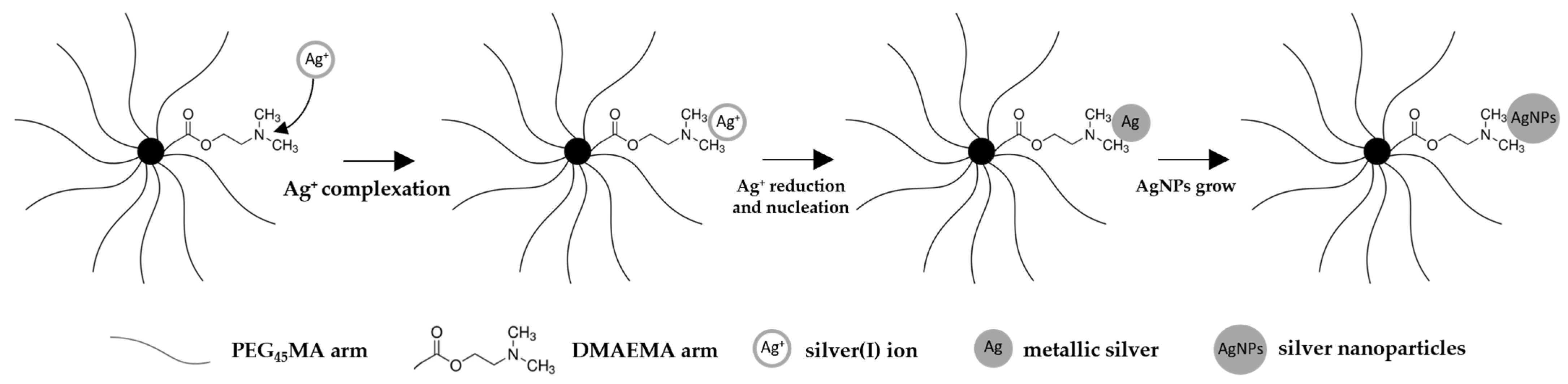 Star Polymers as a Reducing Agent of Silver Salt and a Carrier for Star Polymers as a Reducing Agent of Silver Salt and a Carrier for